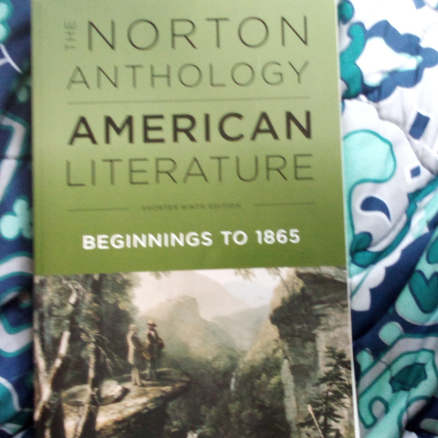 W. W. Norton The Norton Anthology of American Literature Levine 1st Ed English