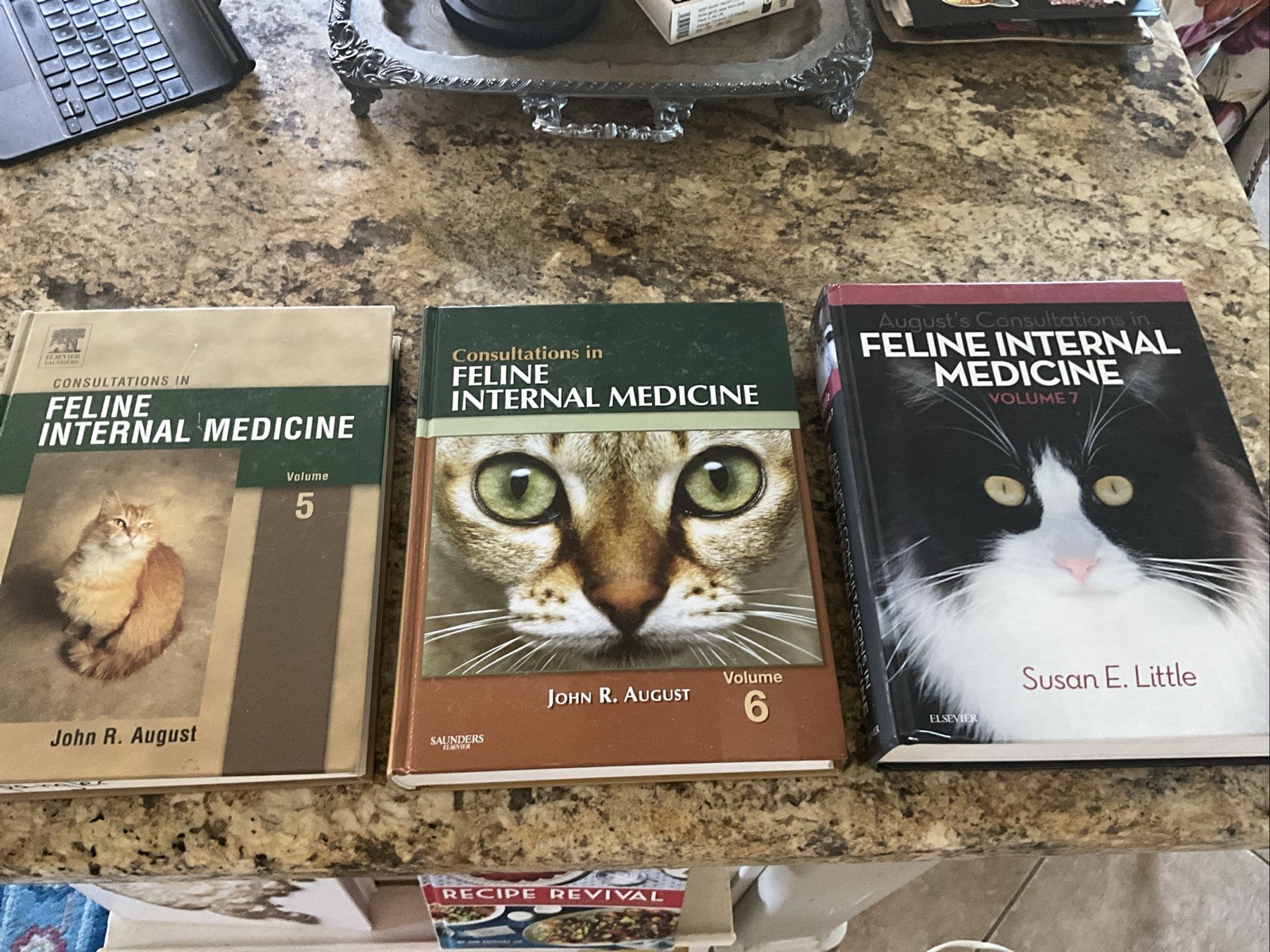 LOT 3 Feline Cat Veterinary Internal Medicine Hardcover Textbooks