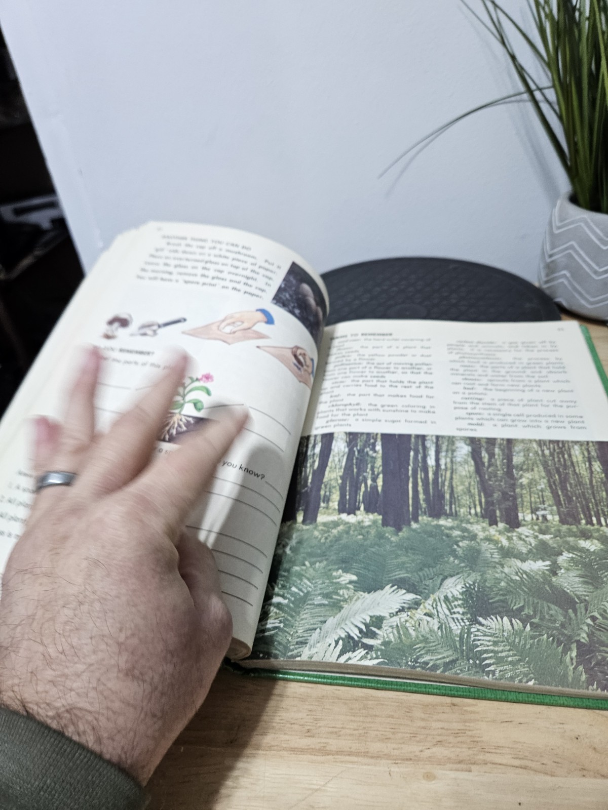 1976 Exploring God’s World 3- A Beka Book Science Series-By Judy Hull Moore