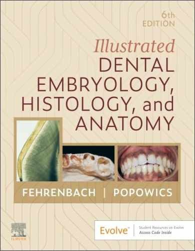 Illustrated Dental Embryology, – Paperback, by Fehrenbach RDH MS – Very Good