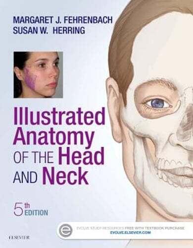 Illustrated Anatomy of the Head and Neck by MS Fehrenbach, Margaret J: Used