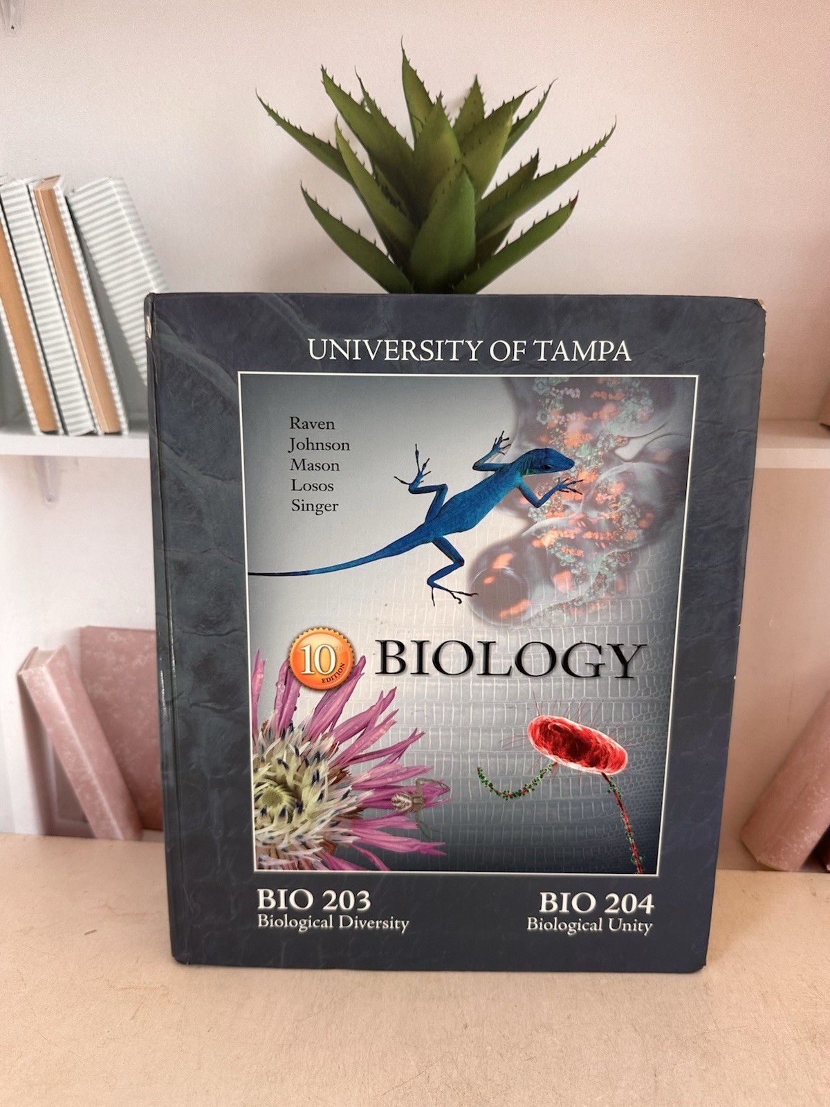 University Of Tampa Biology 10th Edition Bio 203 Bio 204 Biological Diversity/