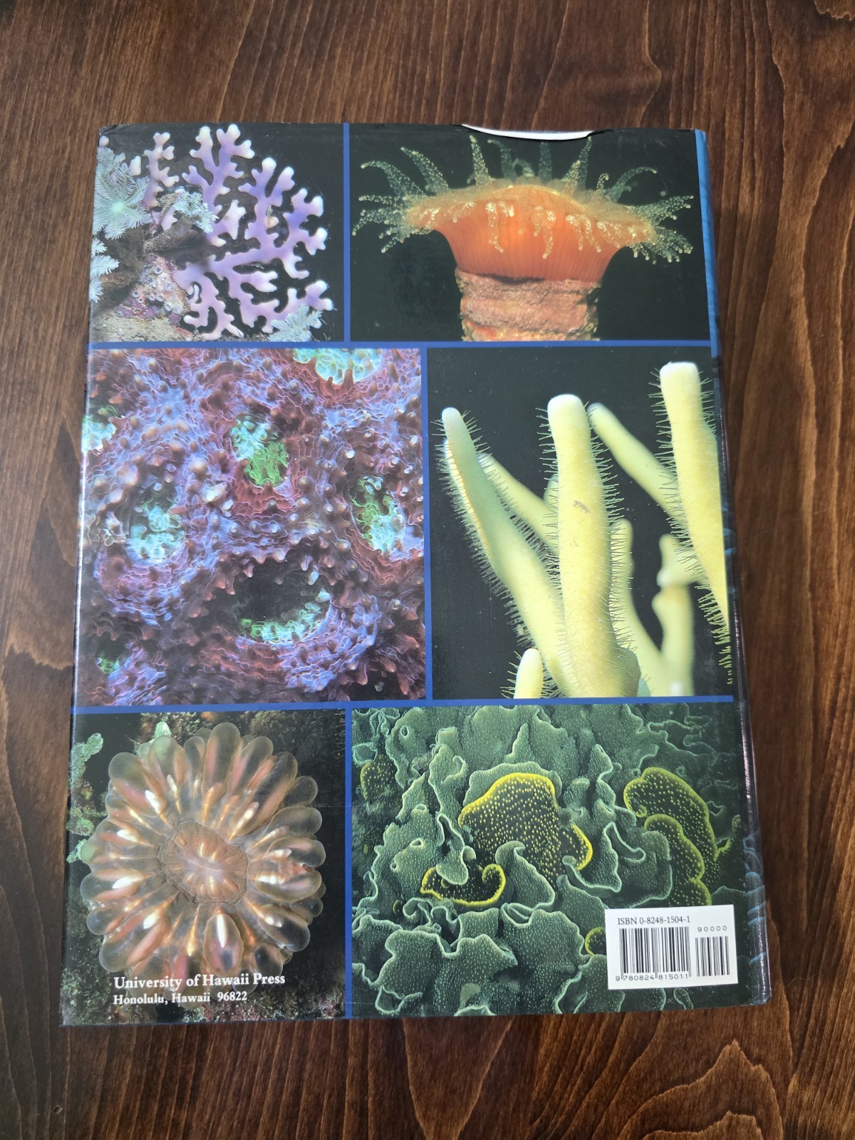 CORALS of Australia and the Indo-Pacific by J.E.N. Veron 1986 HC DJ Free Ship!