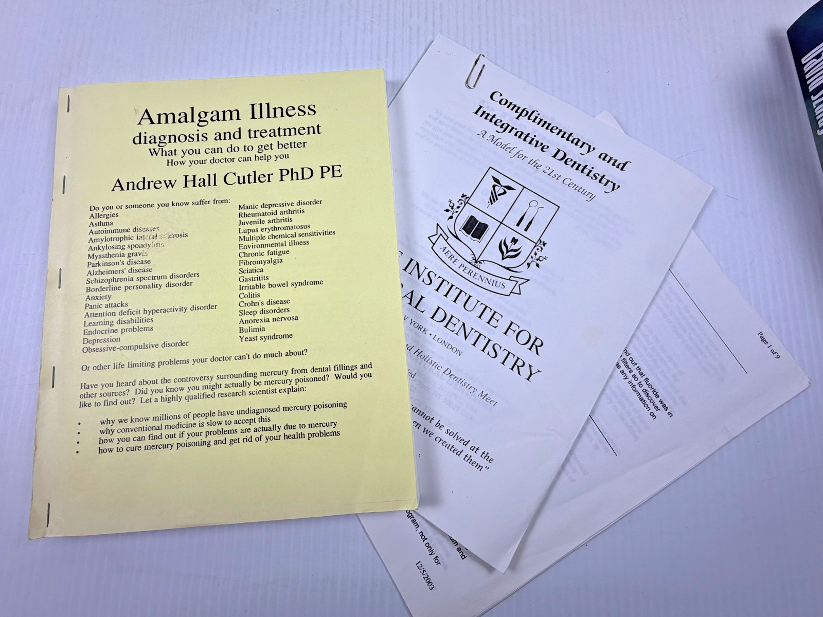 Amalgam Illness Diagnosis and Treatment: What You Can Do by Andrew Hall Cutler