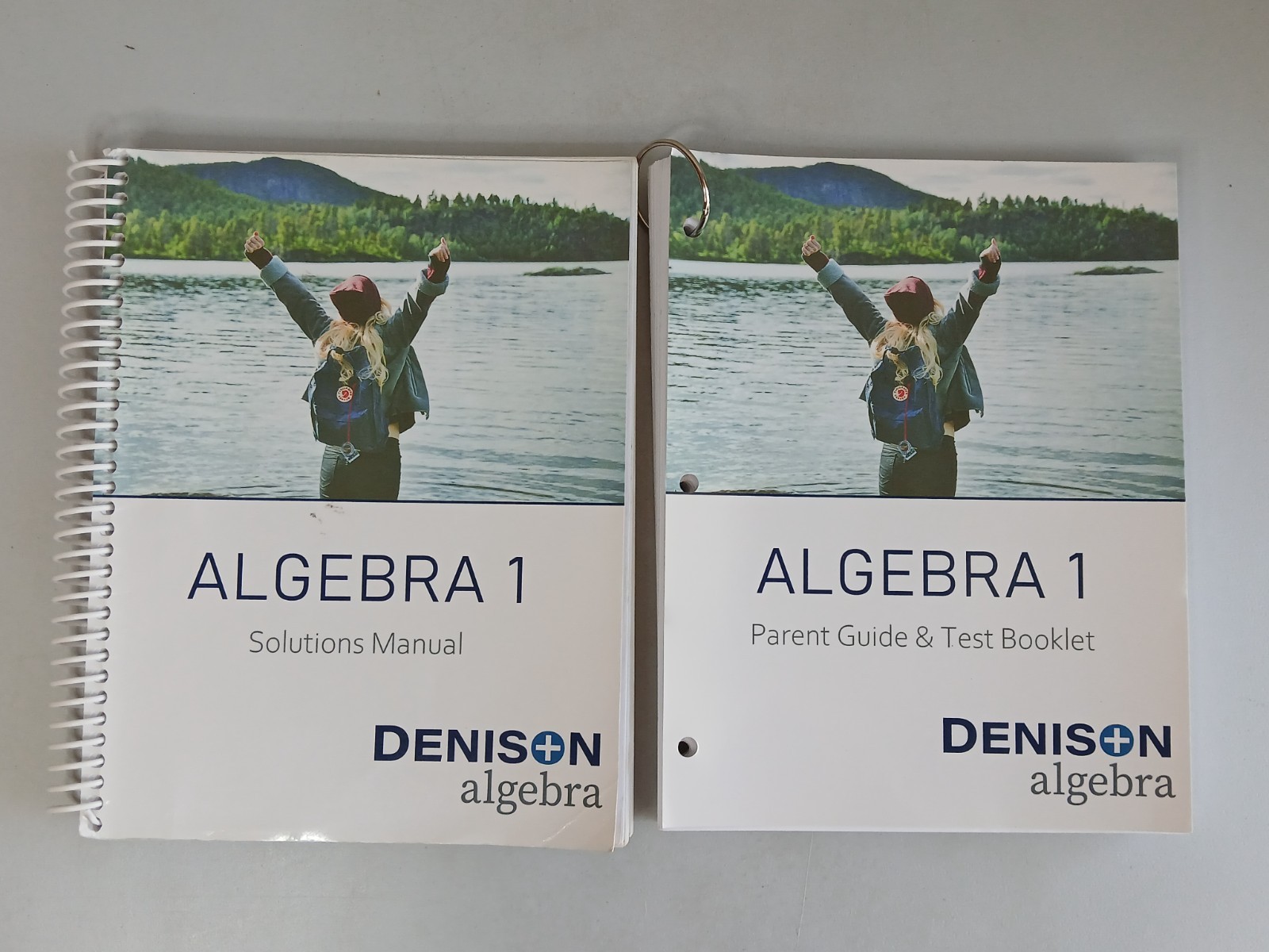 Denison ALGEBRA 1 Solutions Manual and Parent Guide & Test Booklet Book Lot Used