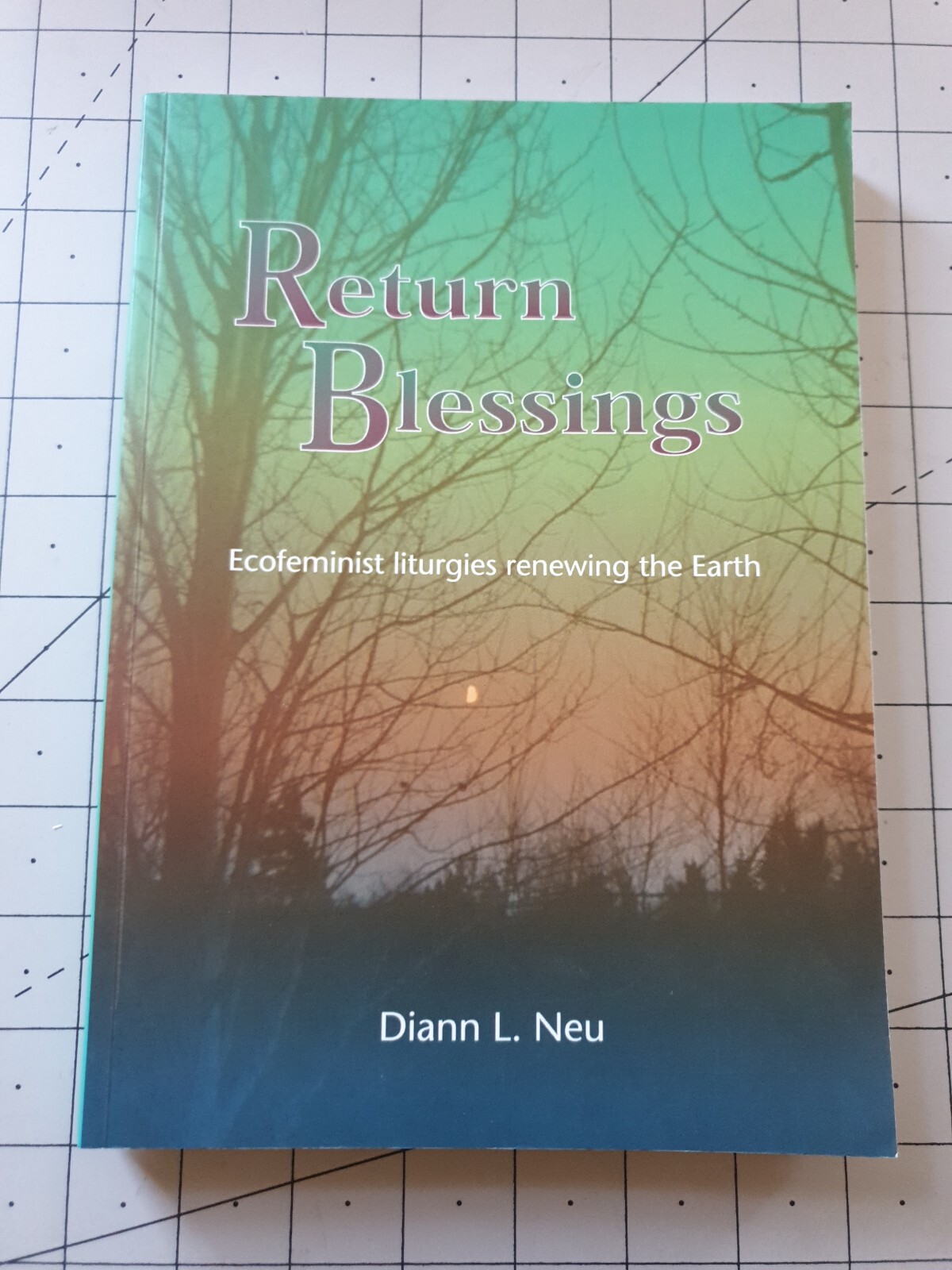 Return Blessings Diann Neu 2004 Paperback Book