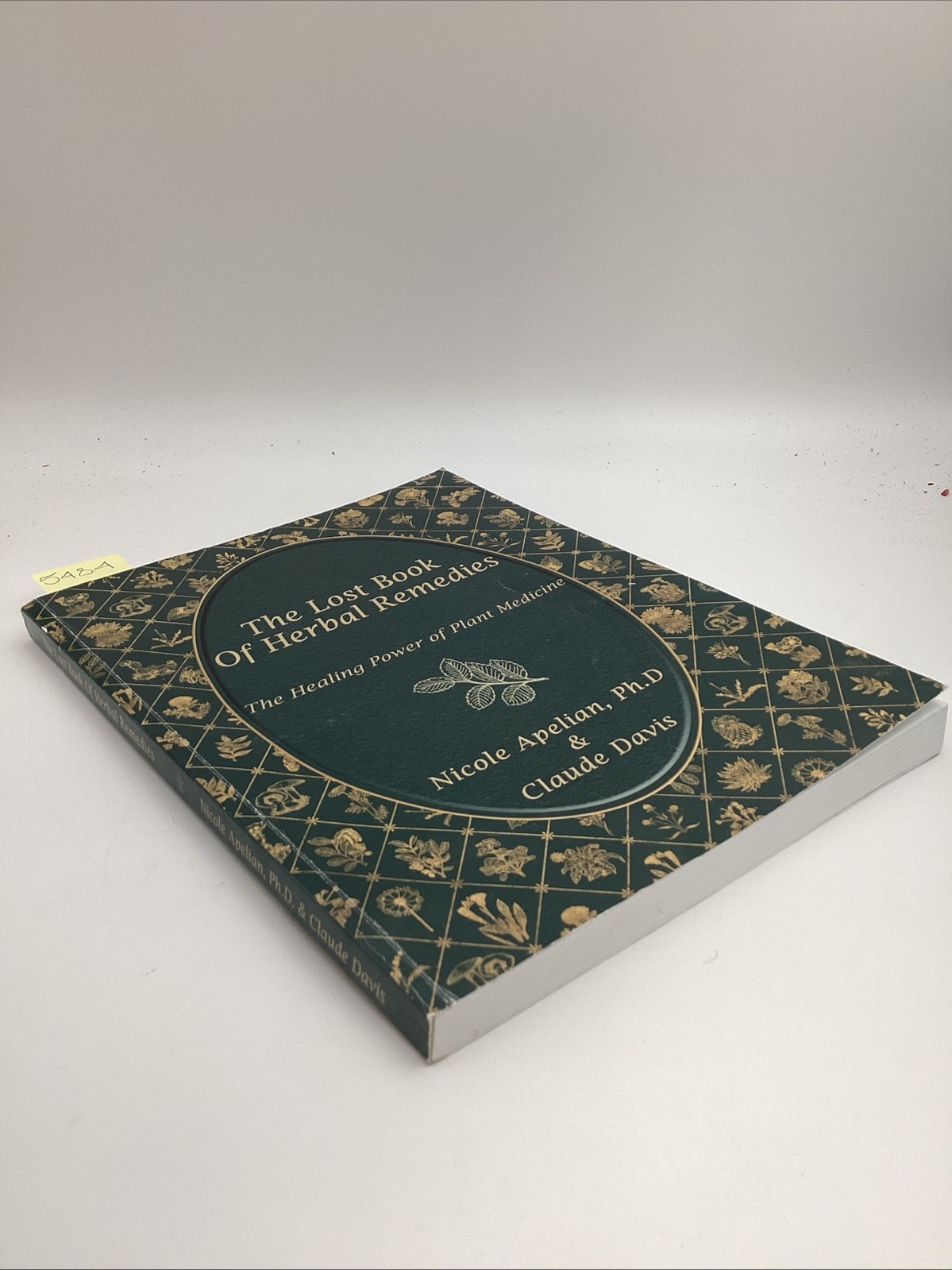 Lost Book Of Herbal Remedies The Healing Power Of Plant Medicine Apelian Davis