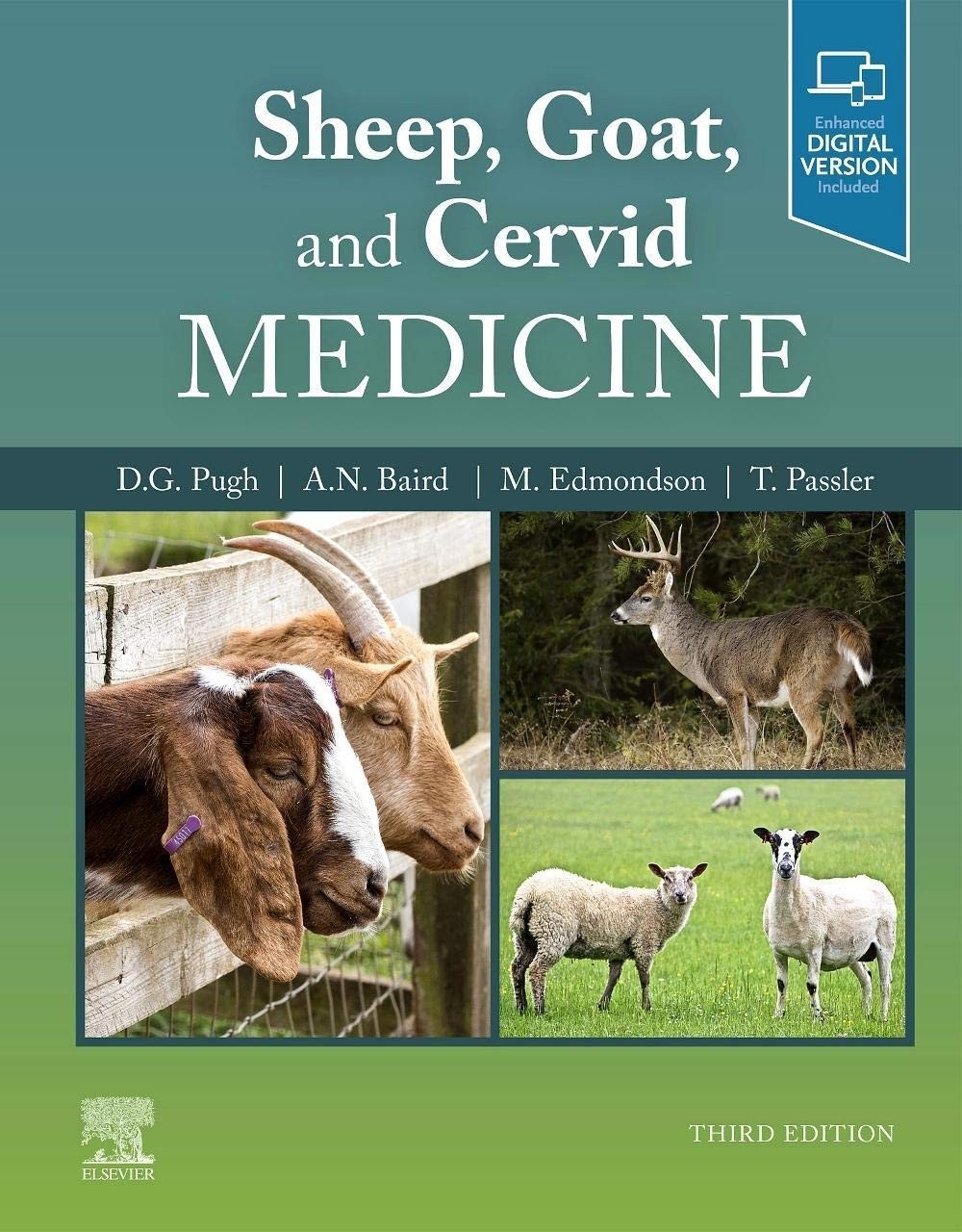 Sheep Goat and Cervid Medicine by David G. Pugh