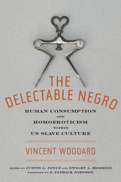 The Delectable Negro by Vincent Woodard PAPERBACK 9780814794623