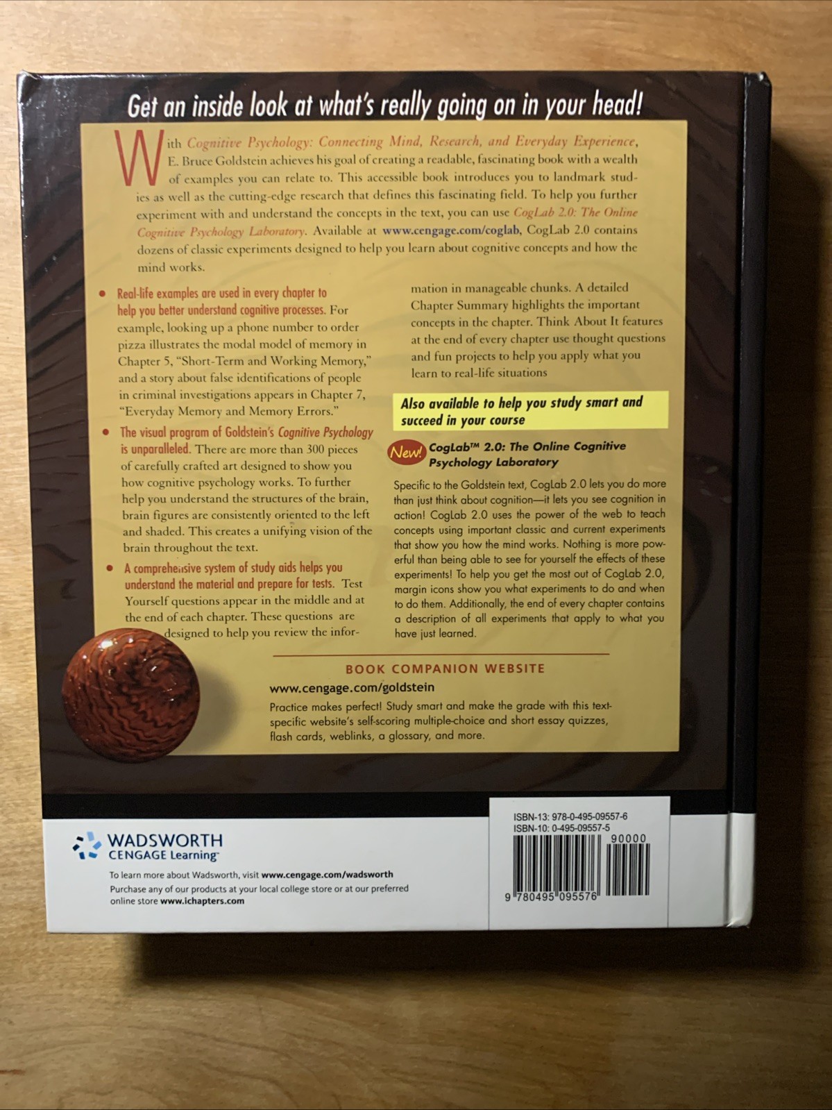 Cognitive Psychology: Connecting Mind, Research and Everyday Experience (wit…