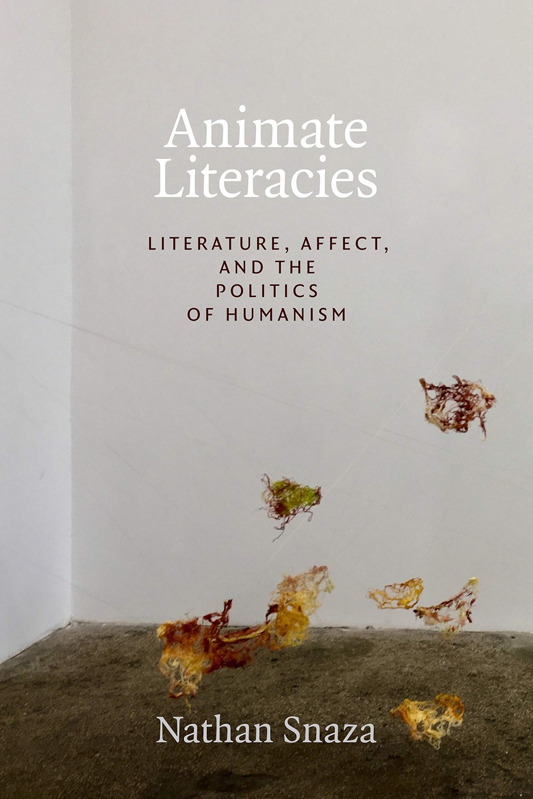 Animate Literacies: Literature, Affect, and the Politics of Humanism by Snaza
