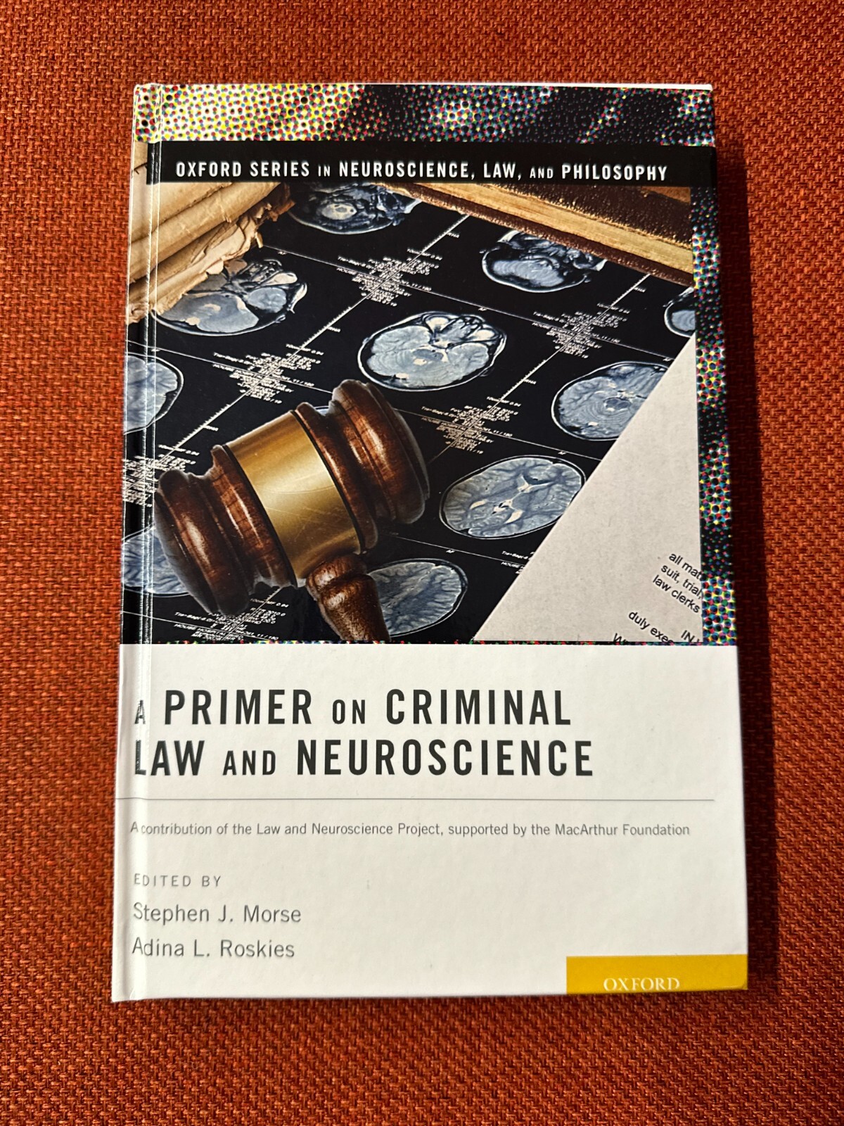 Oxford Series in Neuroscience, Law, and Philosophy Ser.: Primer on Criminal Law