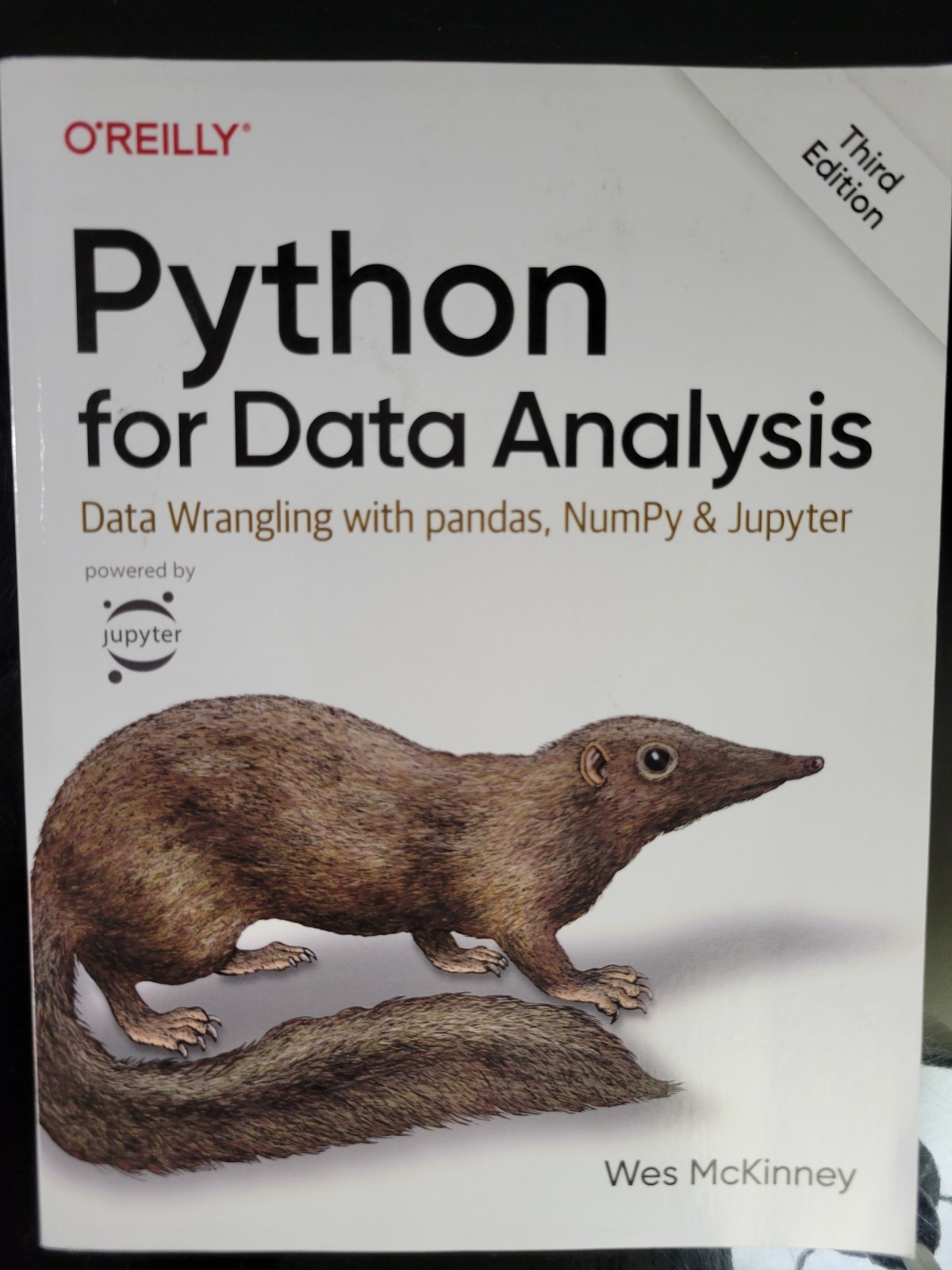 Python for Data Analysis : Data Wrangling with Pandas, NumPy, and Jupyter by Wes