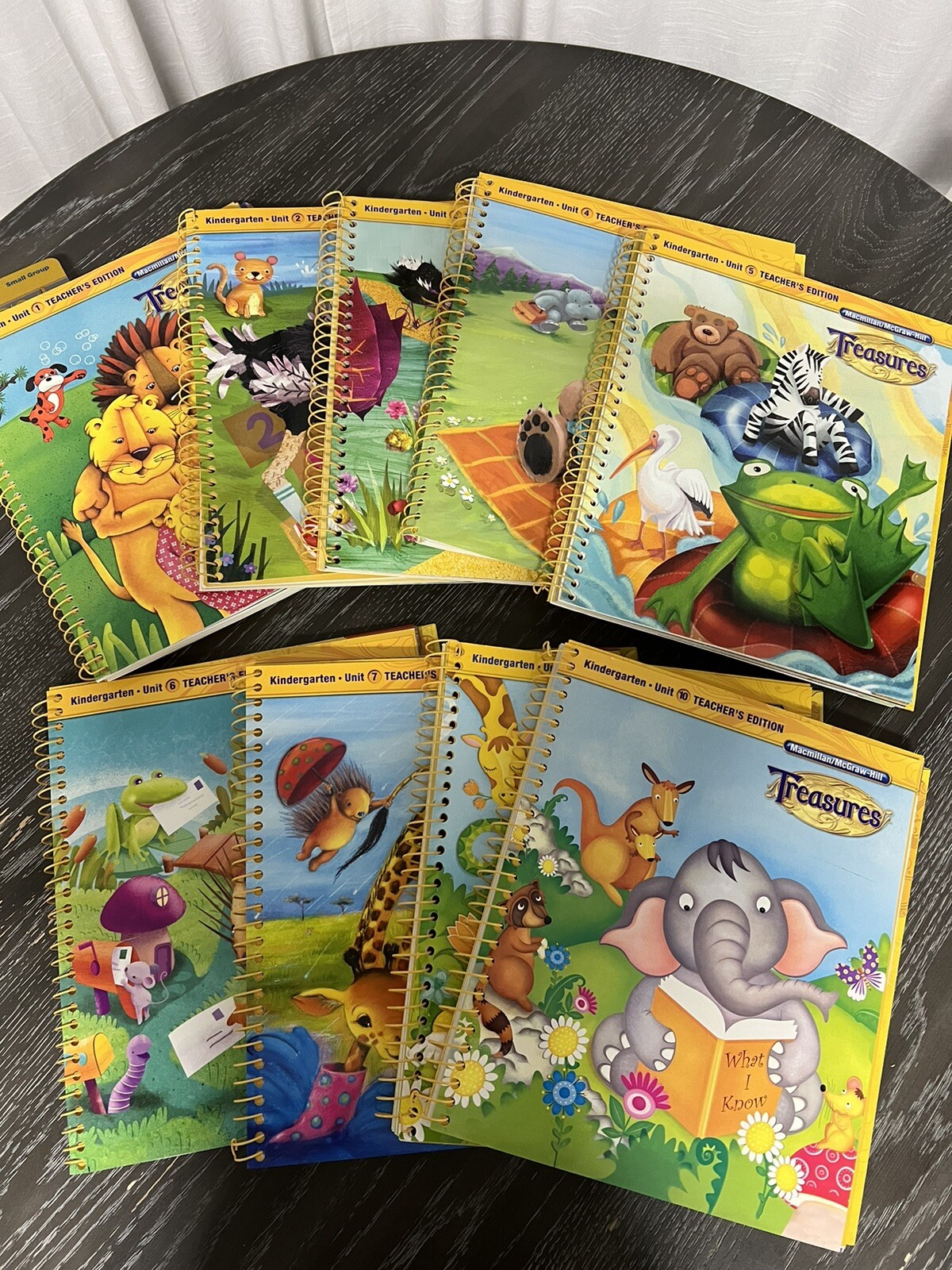 Macmillan McGraw Hill Treasures Grade K Kindergarten Teacher’s Edition 1-8 & 10