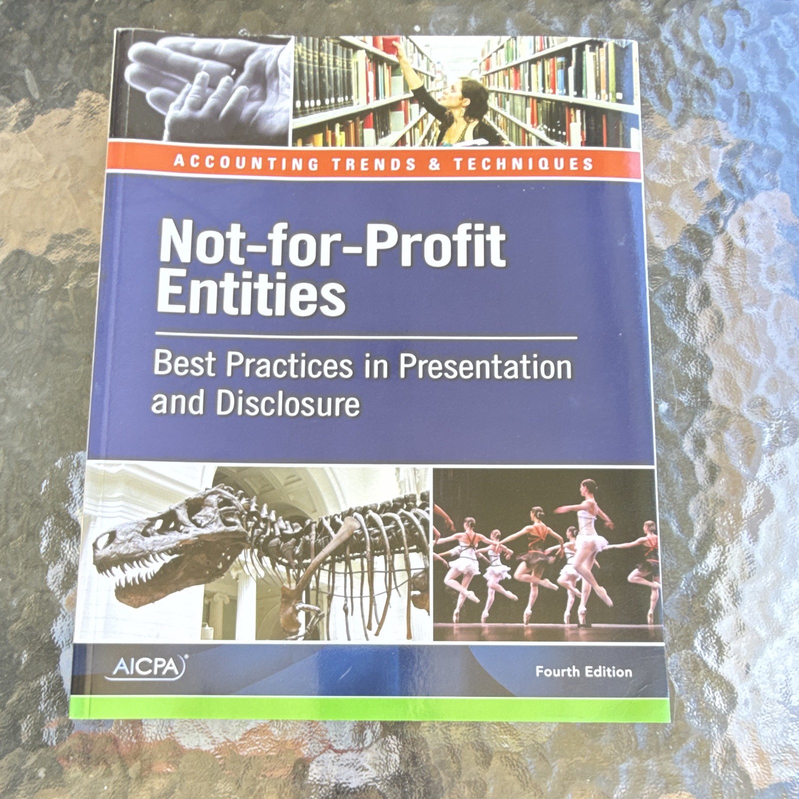 AICPA Accounting Trends & Techniques Not-for-Profit Entities 4th Edition Book