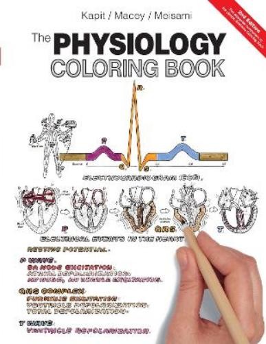 Robert I. Macey Esmail Meisami Wynn Kap Physiology Coloring Book, T (Paperback)