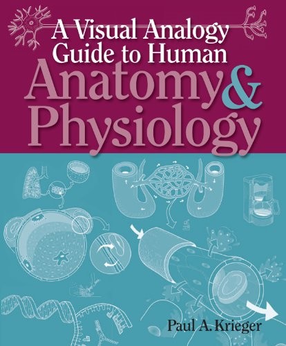 A VISUAL ANALOGY GUIDE TO HUMAN ANATOMY & PHYSIOLOGY By Paul A. Krieger