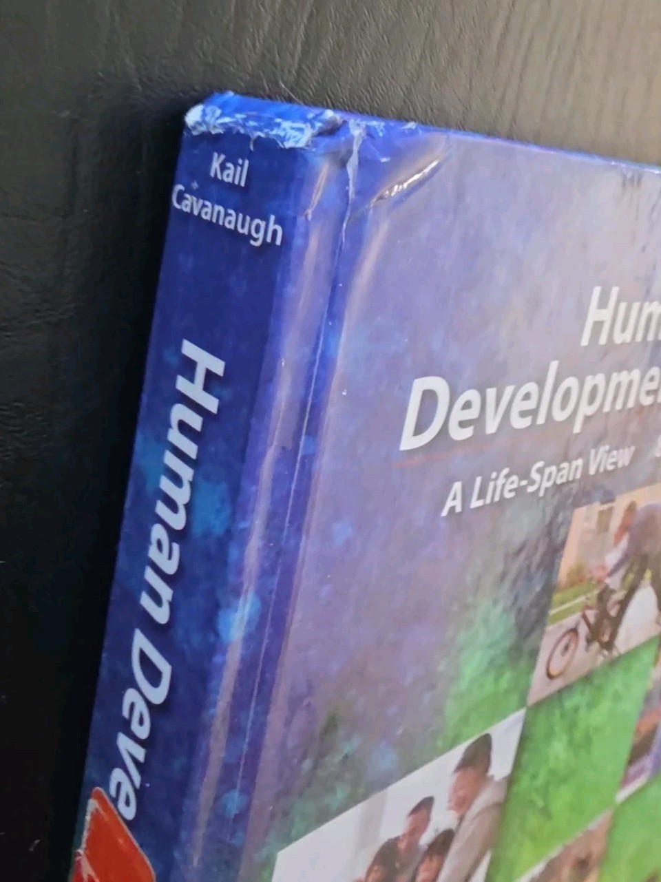 Human Development : A Life-Span View by John C. Cavanaugh and Robert V. Kail