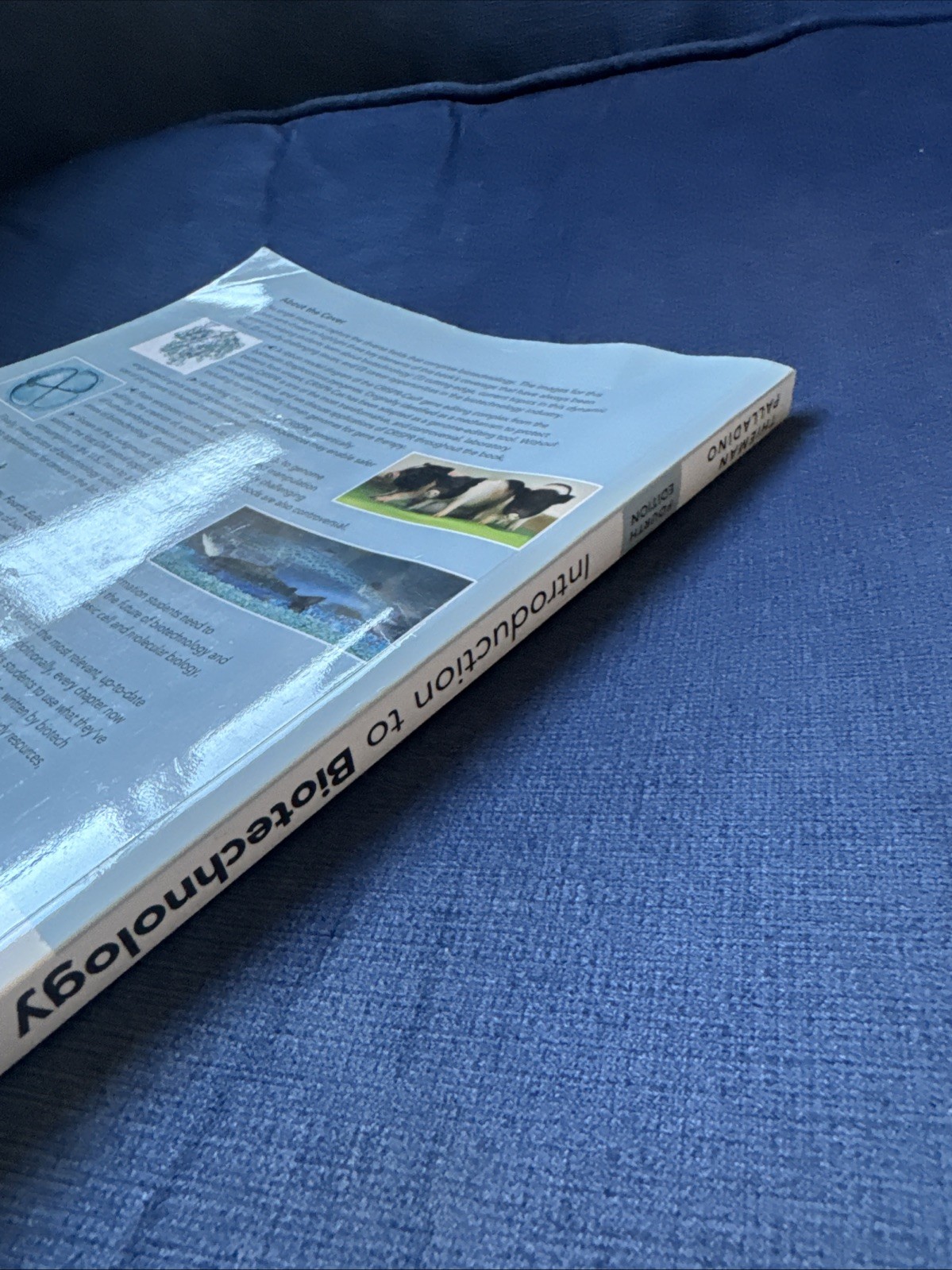 Introduction to Biotechnology Fourth Edition