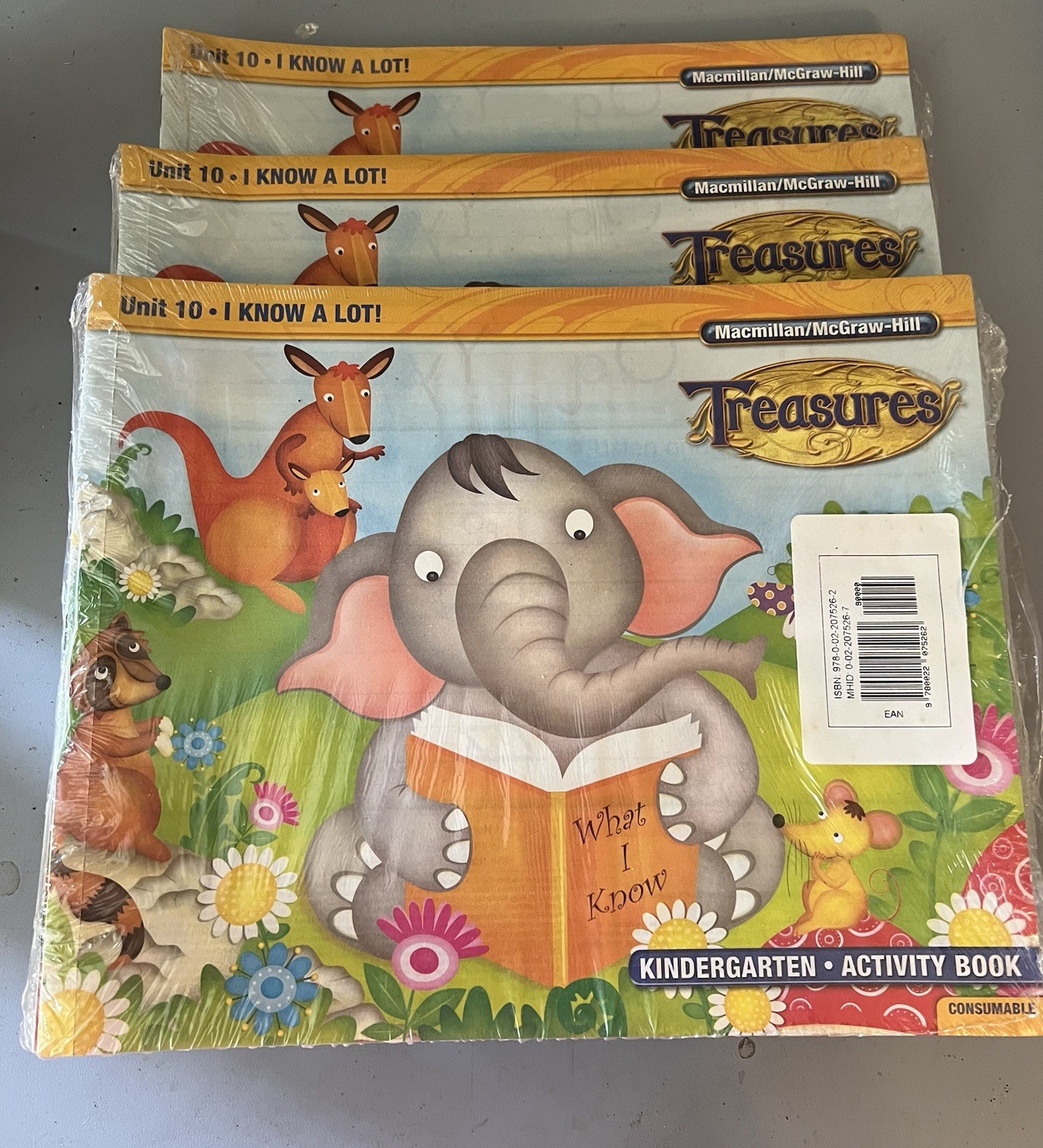 Macmillan/McGraw-Hill Treasures KINDERGARTEN ACTIVITY BOOK I Know A lot 10 Pk NW
