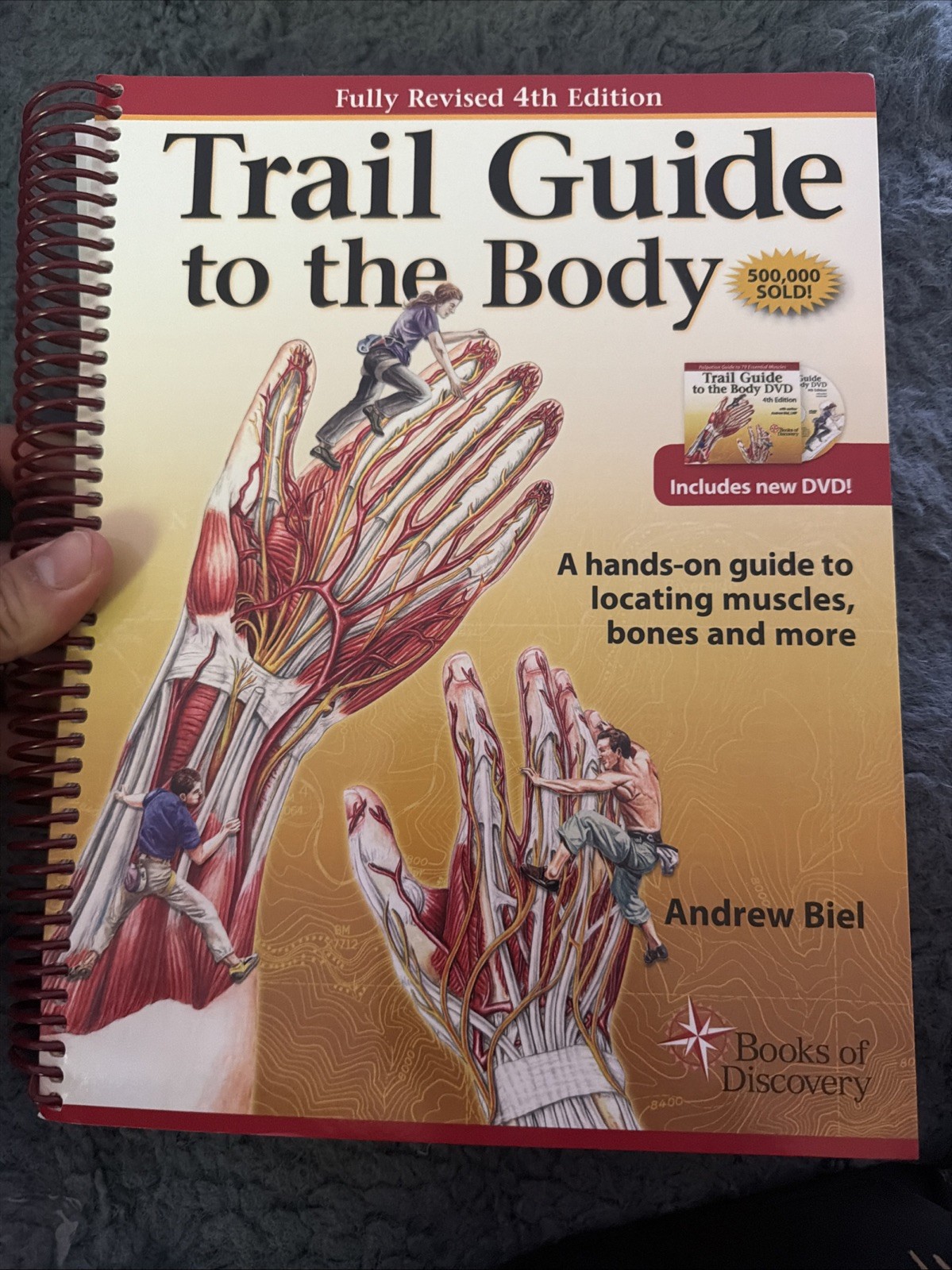 Trail Guide to the Body 4e : A Hands-On Guide to Locati by Andrew Biel ( C-12