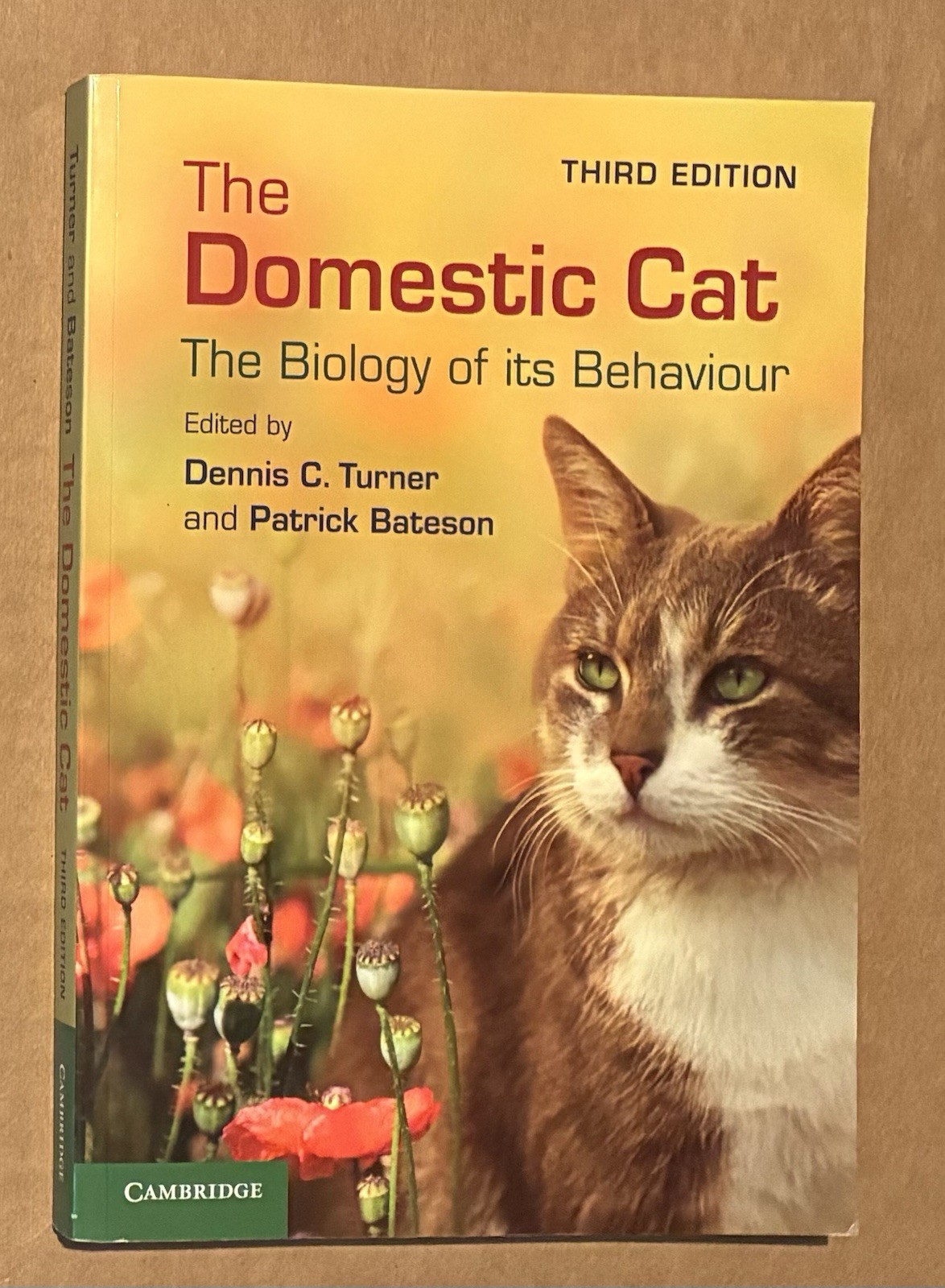 Domestic Cat : The Biology of Its Behaviour by Patrick Bateson (2013) GOOD++