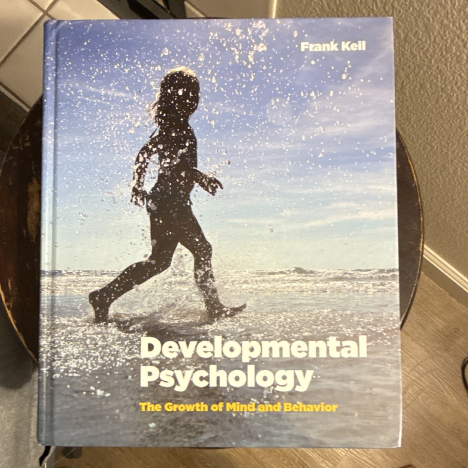 W. W. Norton Developmental Psychology Textbook Hardcover by Frank Keil