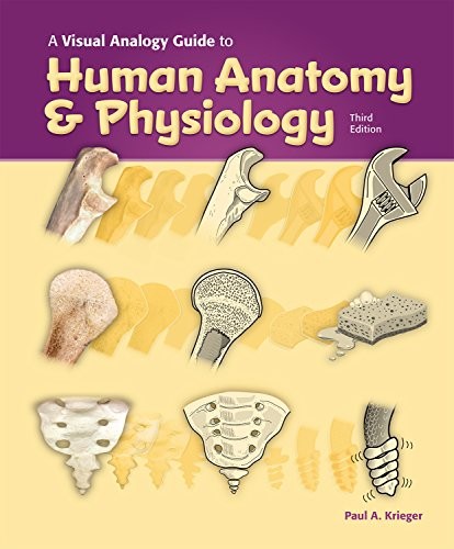 Visual Analogy Guide to Human Anato…, Krieger, Paul A