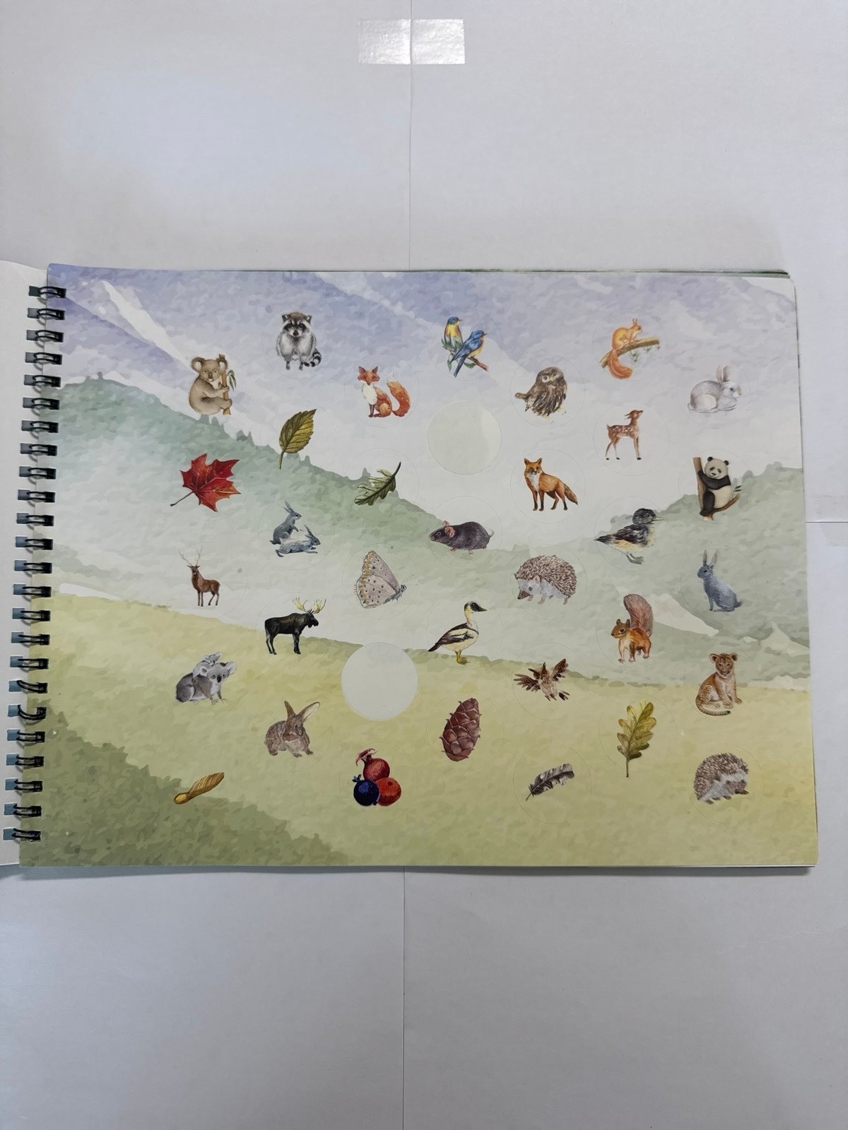 Typing 2 spiral bound student book 2018 the good and the beautiful text homescho