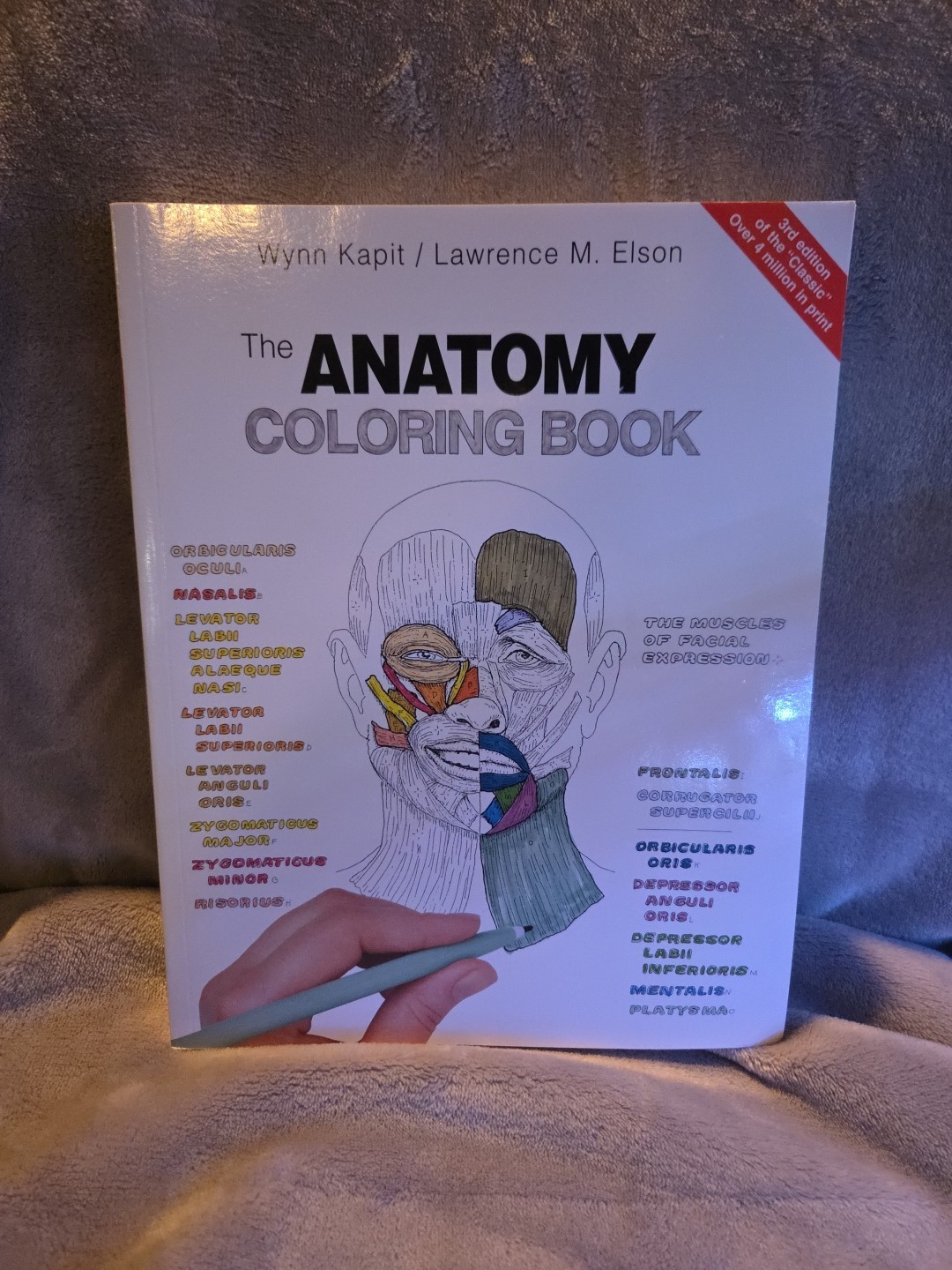 Anatomy Coloring Book-New