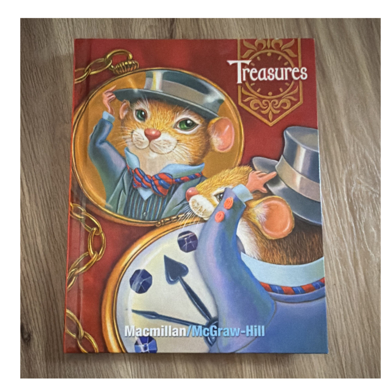 Macmillan/McGraw-Hill Treasures Reading Hardcover Textbook