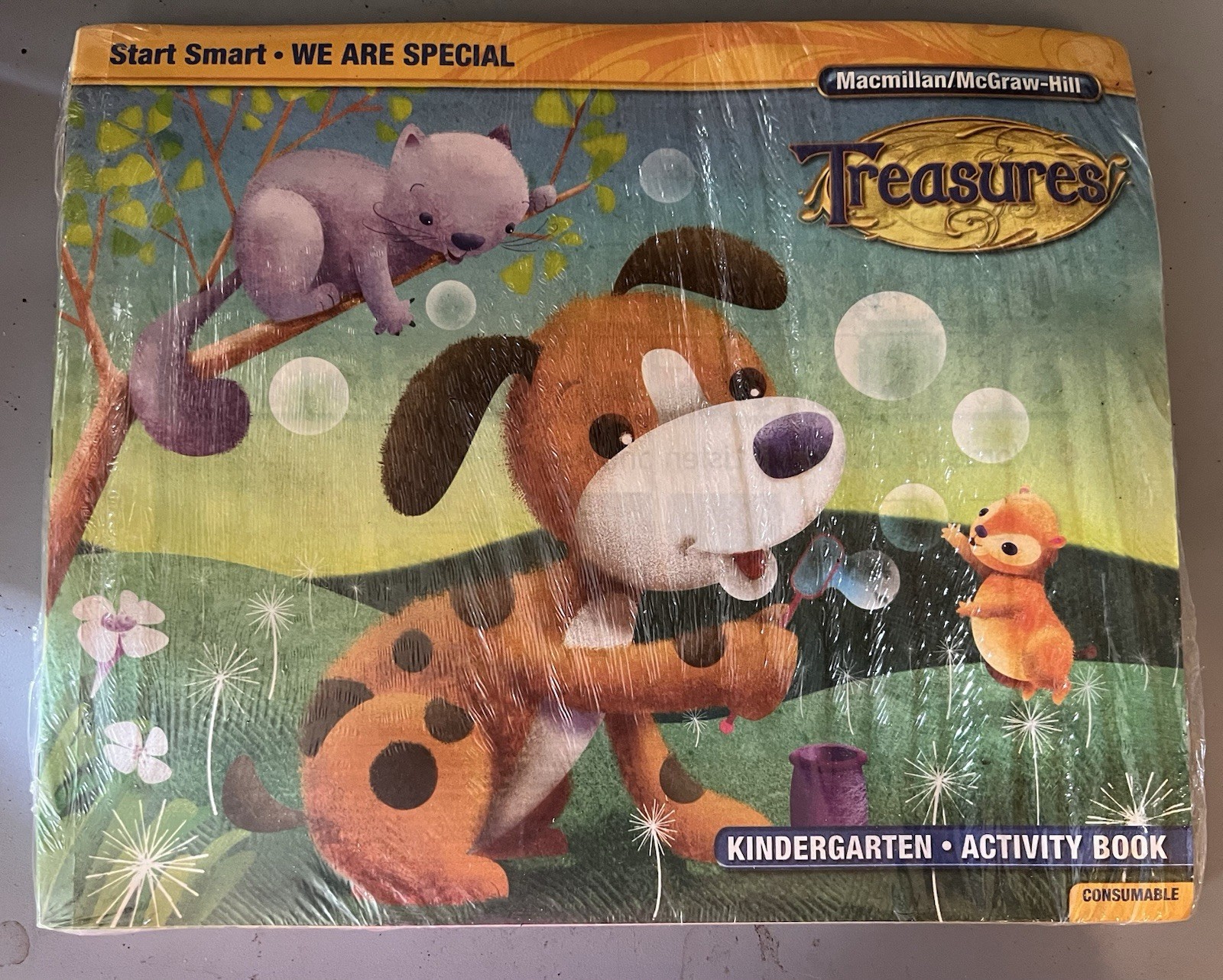 Macmillan/McGraw-Hill Treasures KINDERGARTEN ACTIVITY BOOK I Know A lot 10 Pk NW