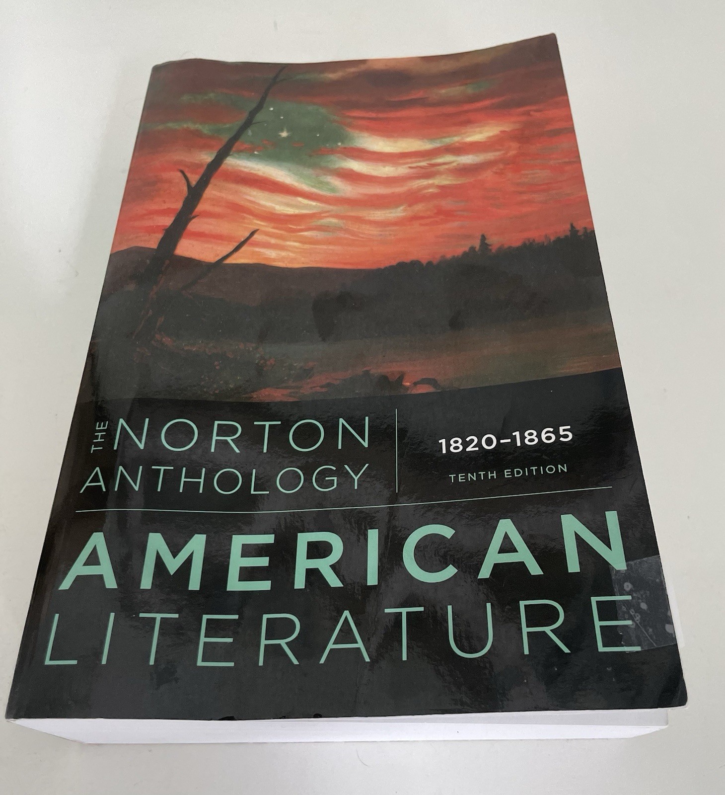 The Norton Anthology of American Literature- 10th Edition – Vol B- 1820-1865