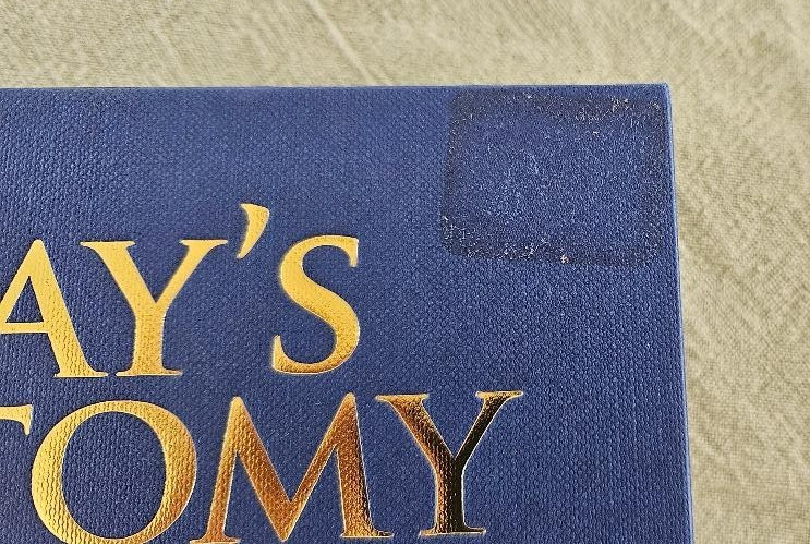 Gray’s Anatomy : The Classic 1860 Edition HC/2023