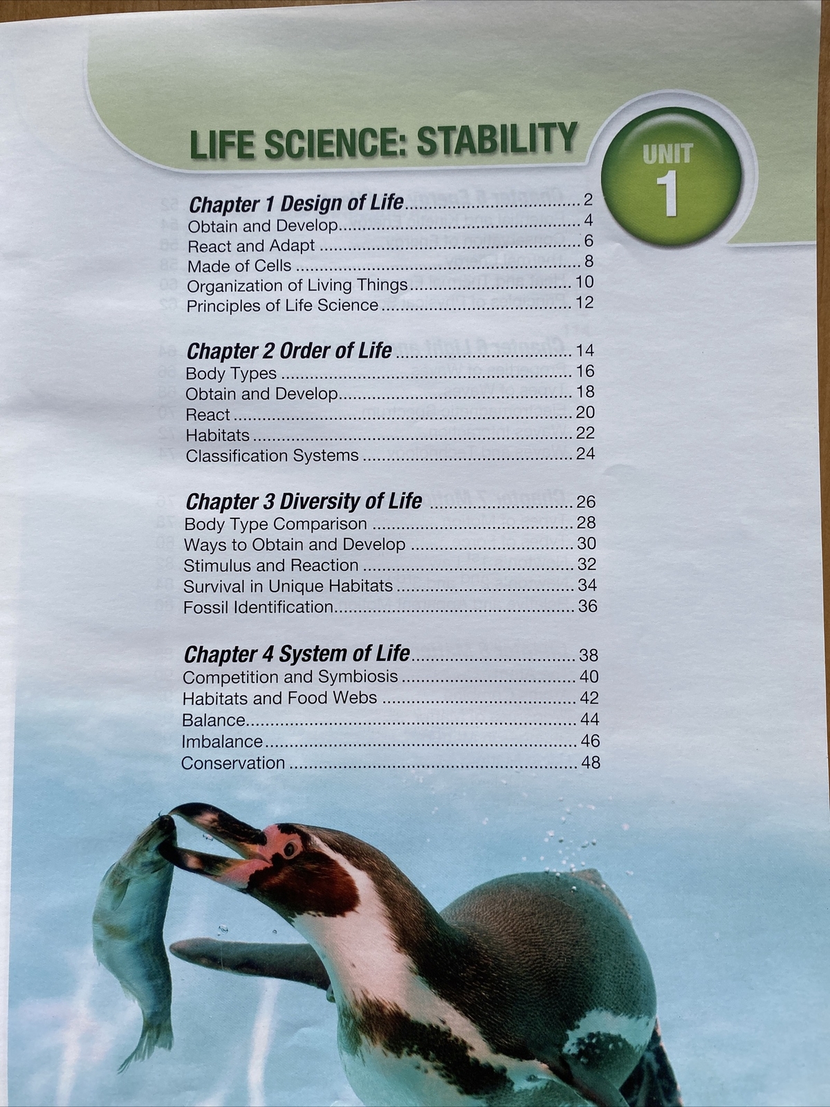 ACSI Purposeful Design – Science Level Four