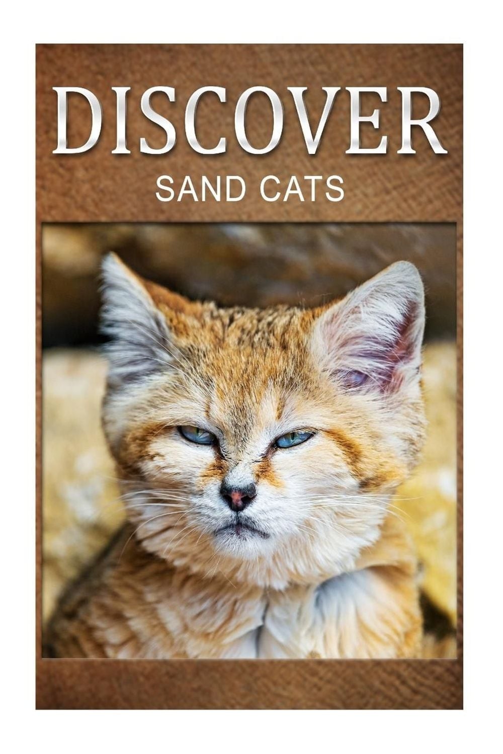 Sand Cats – Discover: Early reader’s wildlife photography book by Discover Press