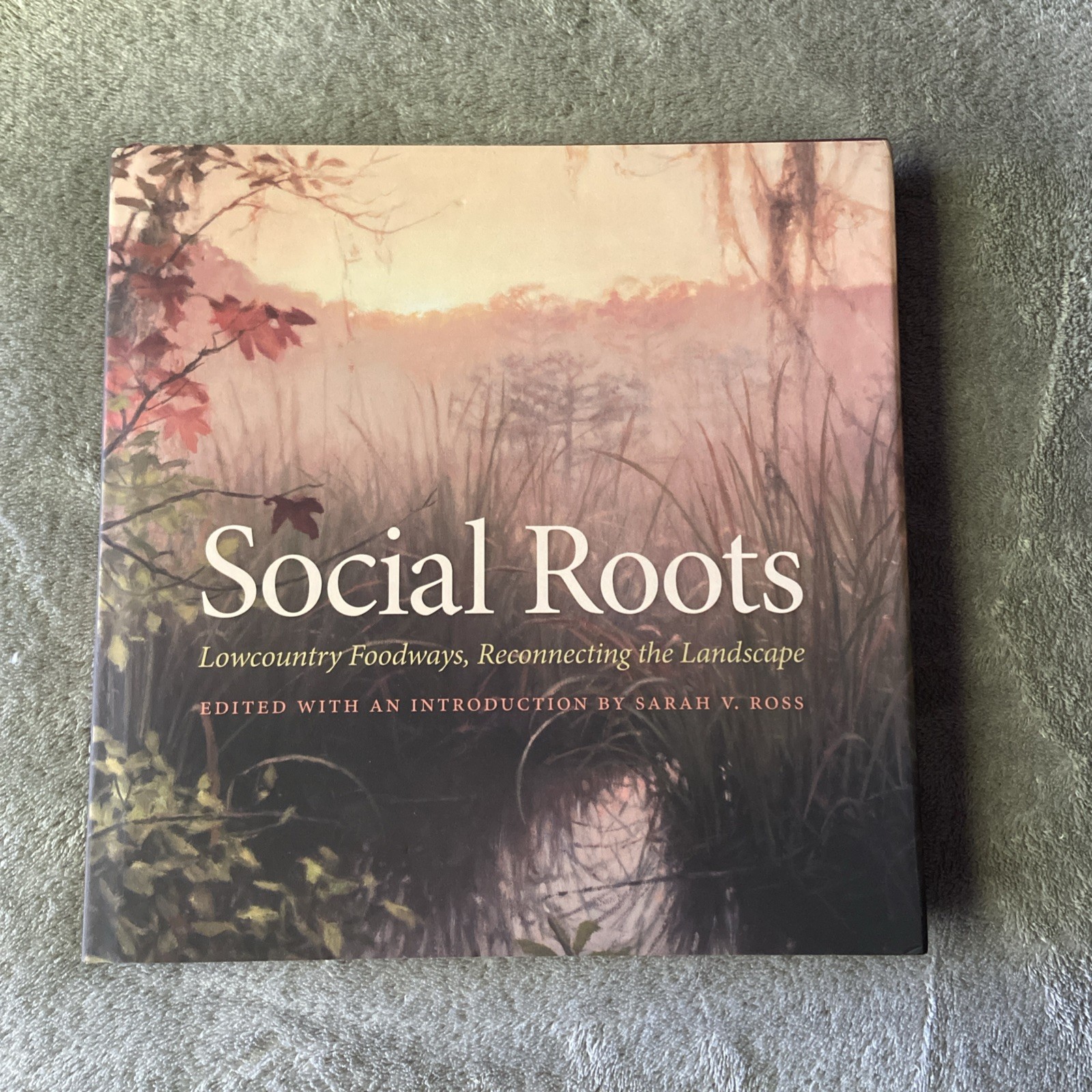 Social Roots : Lowcountry Foodways, Reconnecting the Landscape, Hardcover by …