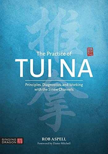The Practice of Tui Na – Paperback, by Rob Aspell – Very Good