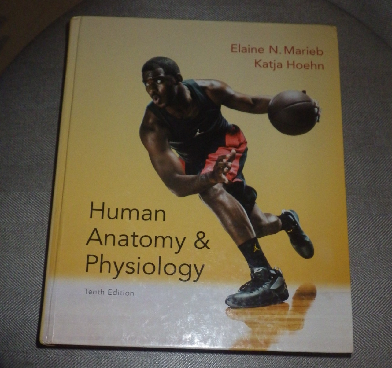 Human Anatomy and Physiology 10th edition HC by Elaine N. Marieb and Katja Hoehn