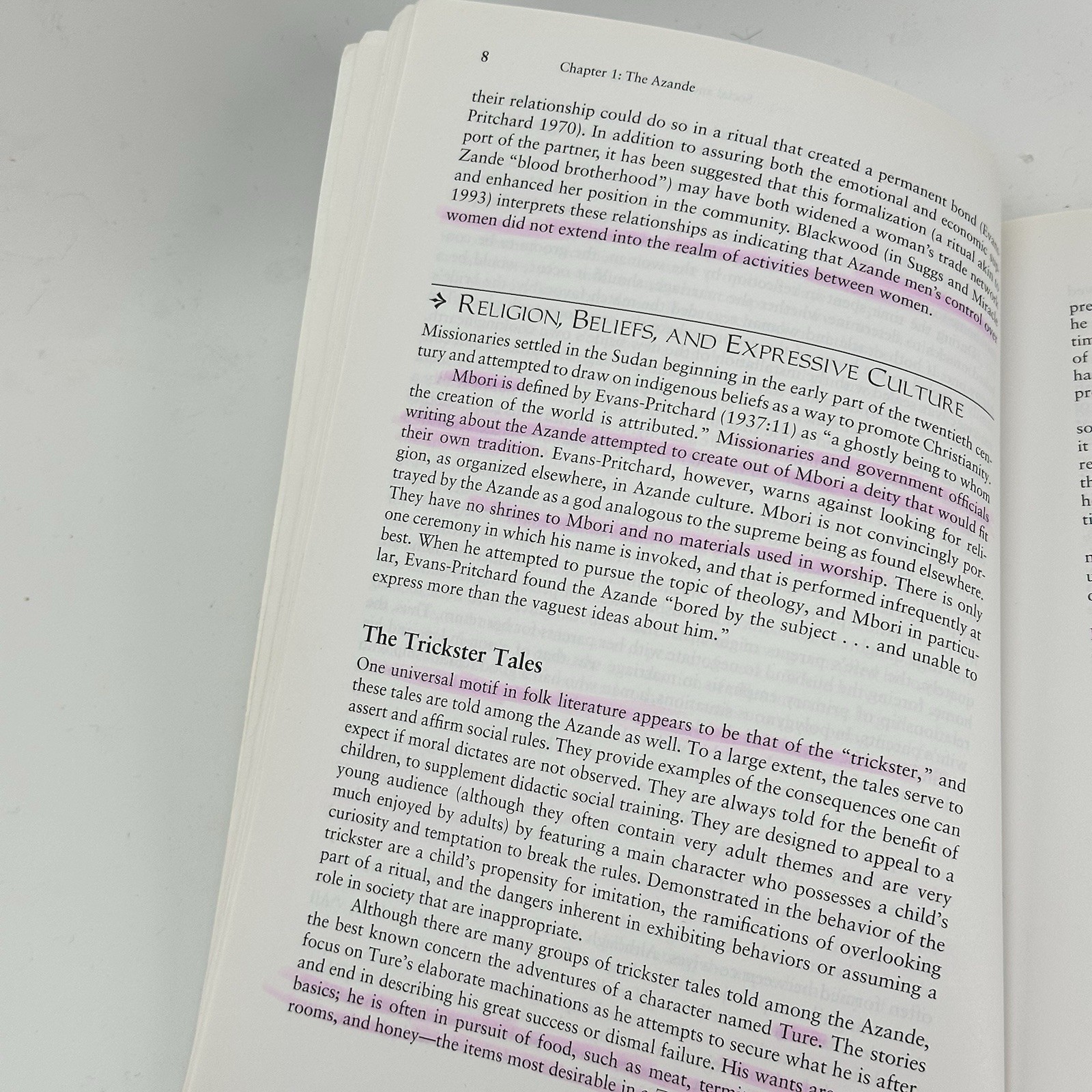 Culture Sketches: Case Studies in Anthropology 6th Sixth Edition Peters-Golden