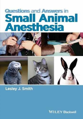 Questions and Answers in Small Animal – Paperback, by Smith Lesley J. – New