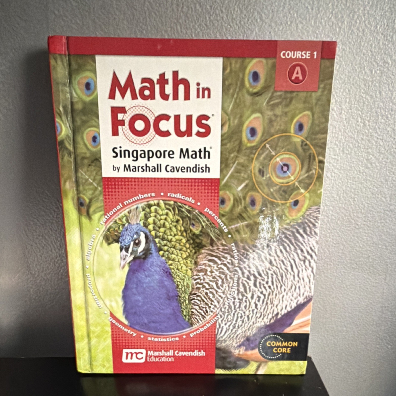 Marshall Cavendish Math in Focus Course 1A Common Core Middle School Textbook