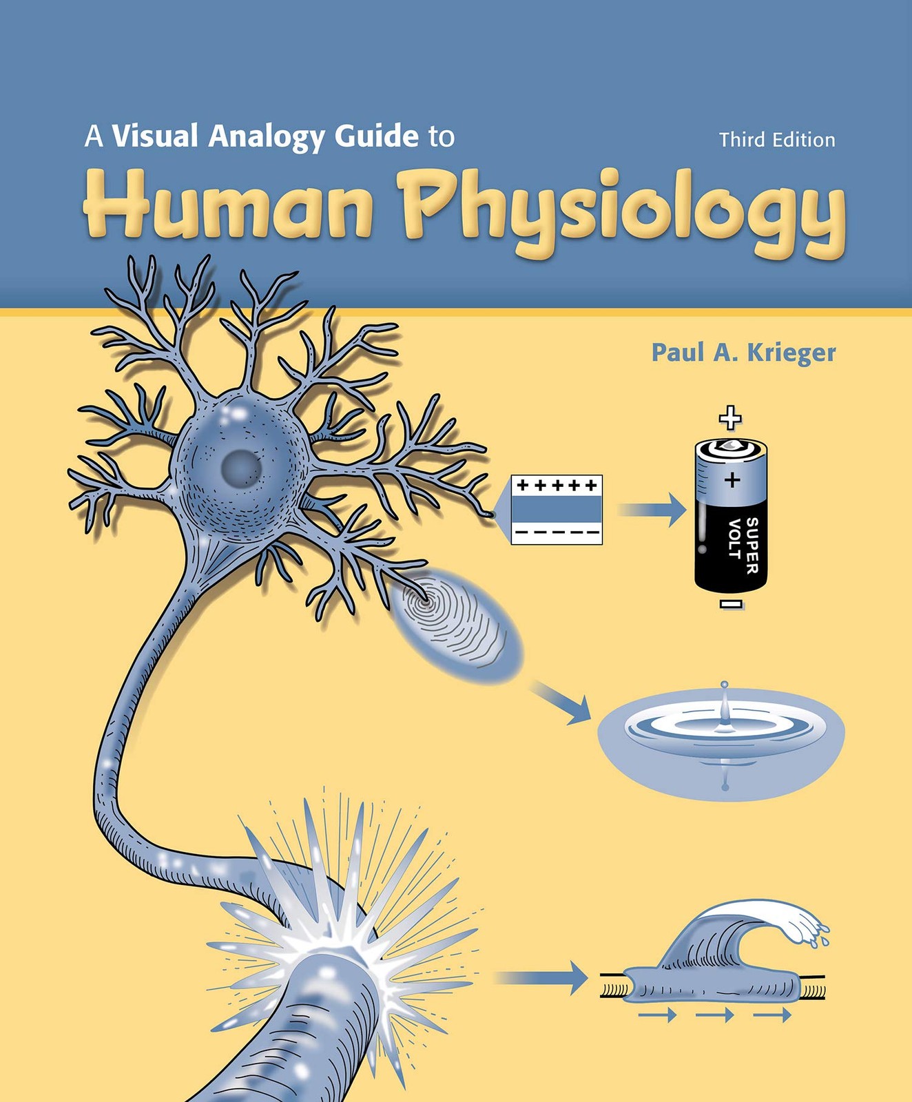 A Visual Analogy Guide to Human Physiology by Paul Krieger