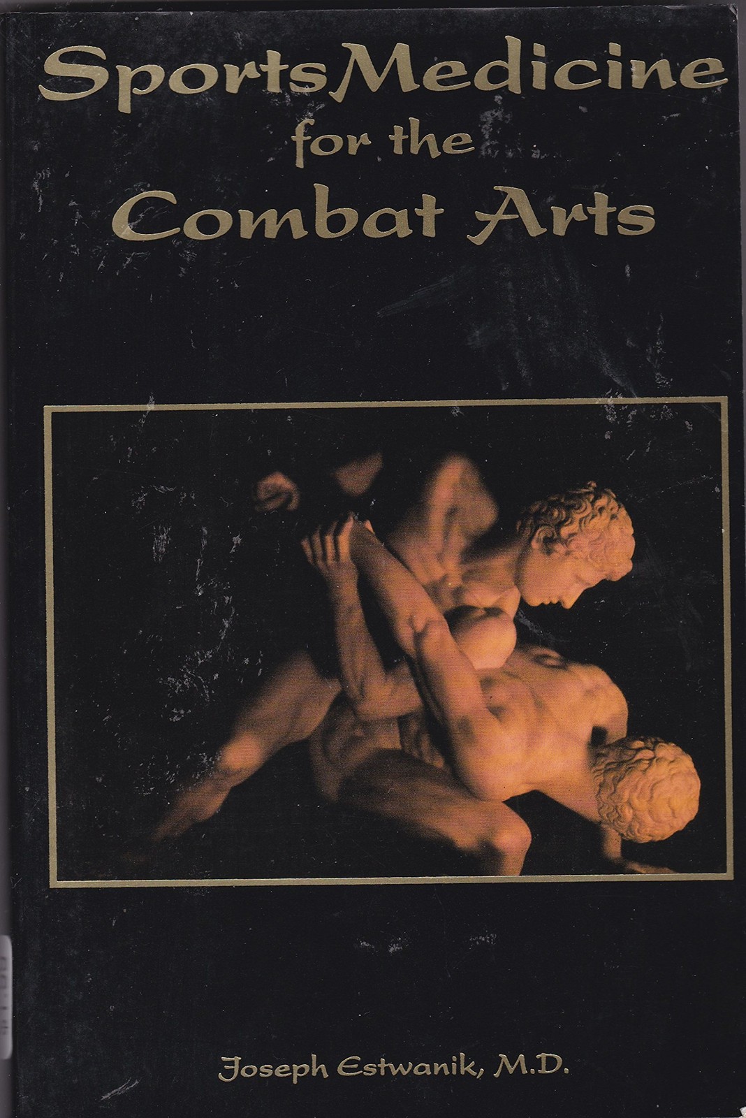 Sports Medicine for the Combat Arts