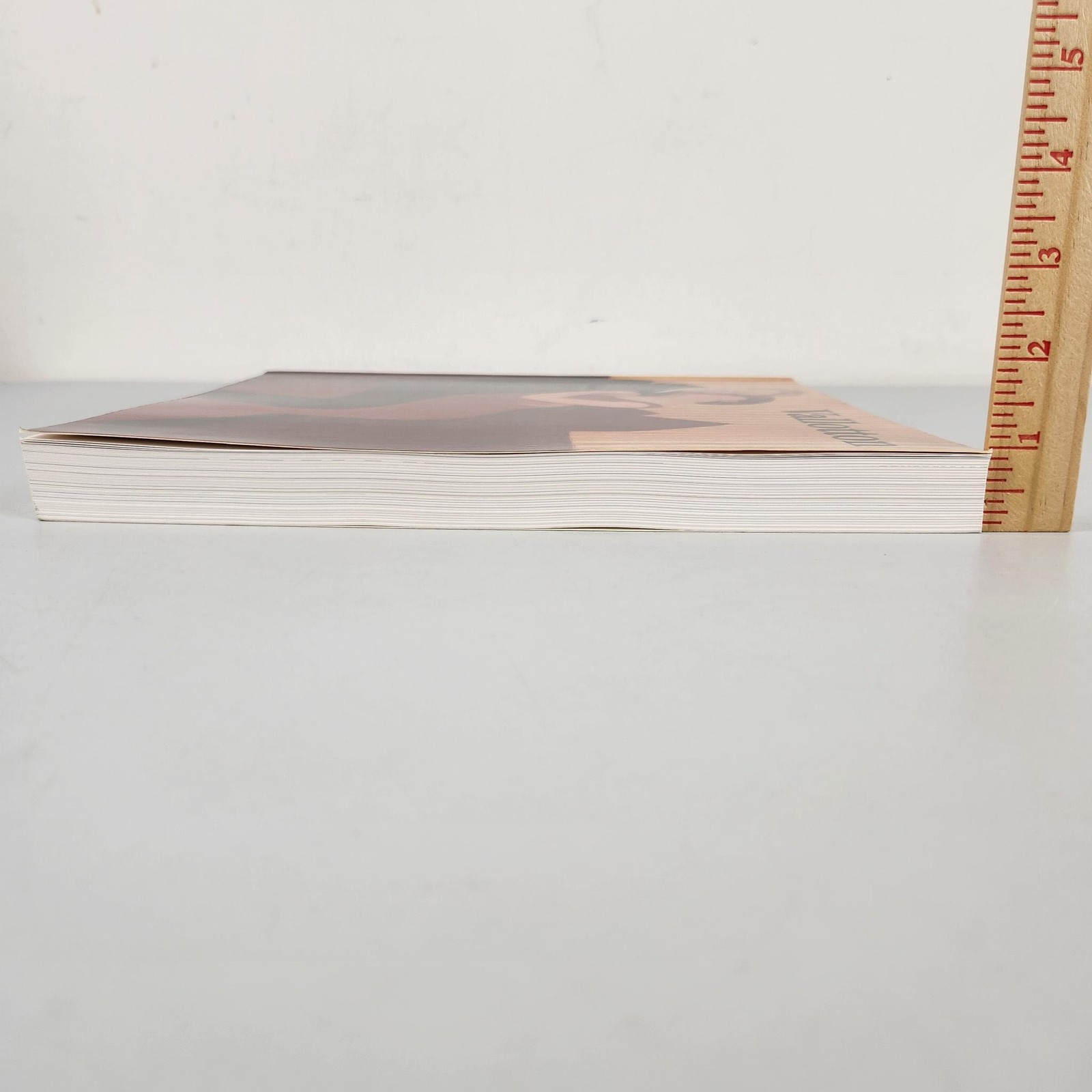 Felix Vallotton Sasha M Newman 1991 Art Catalog PB Vintage Abbeville USA