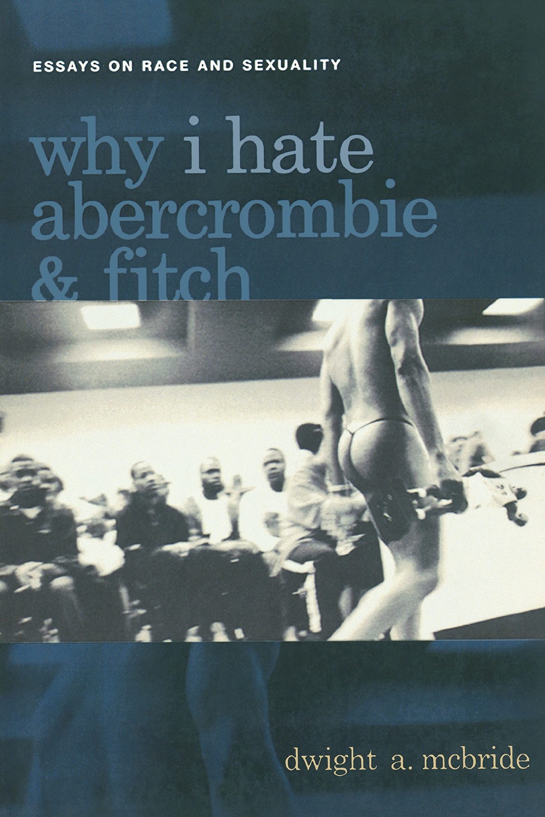 Why I Hate Abercrombie & Fitch: Essays On Race and Sexuality by Dwight McBride