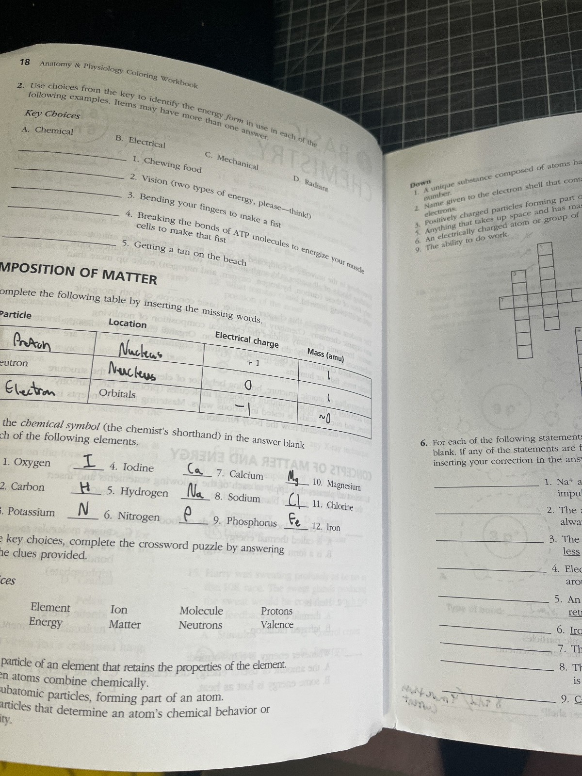Anatomy and Physiology Coloring Workbook : A Complete Study Guide by Elaine…