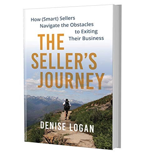 THE SELLERS JOURNEY By Denise Logan **Mint Condition**