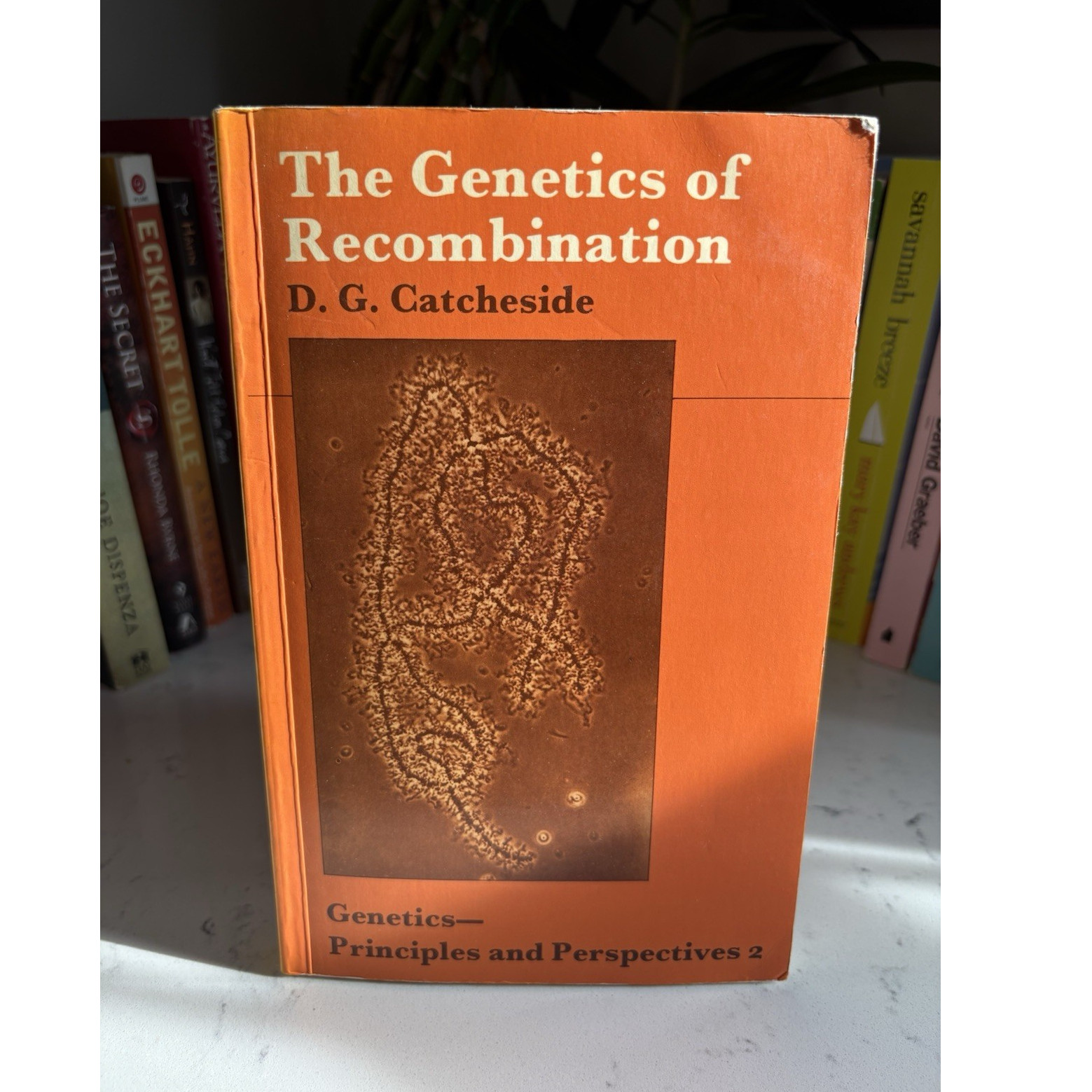 The Genetics of Recombination D. G. Catcheside Paperback Edward Arnold 1977 Gen…