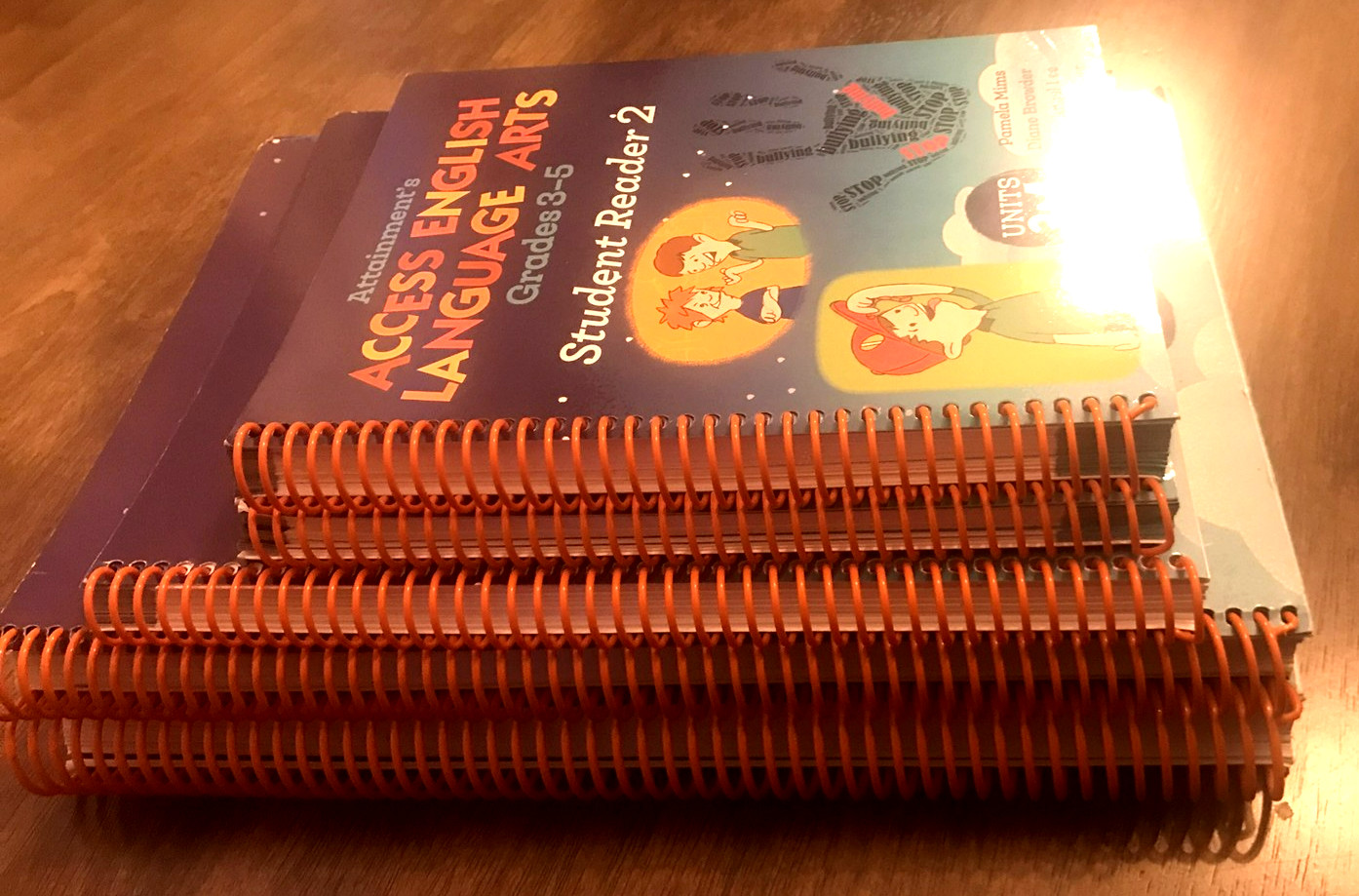 ACCESS ENGLISH LANGUAGE ARTS GRADES 3-5 BUNDLE
